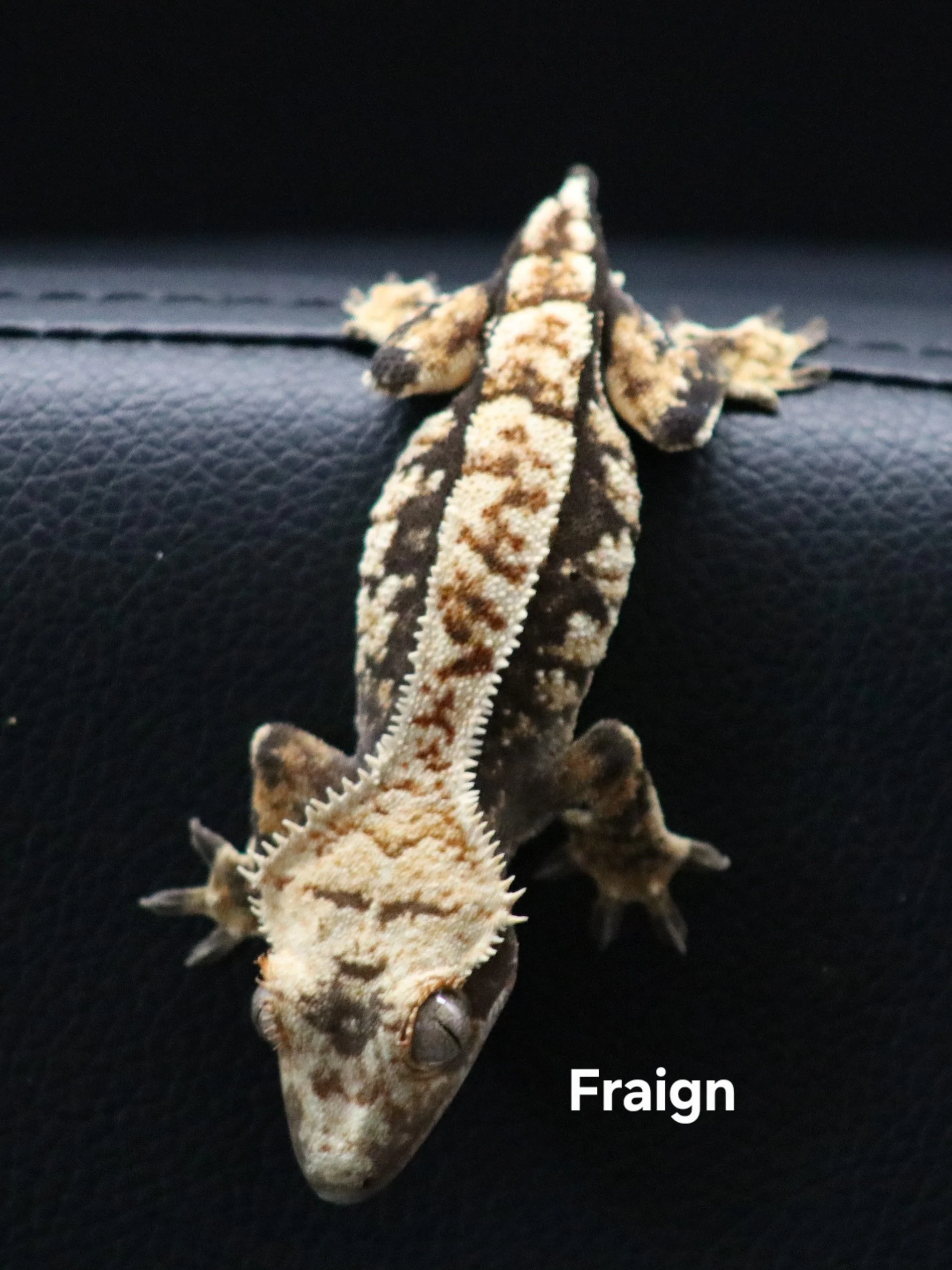 Fraign.jpg