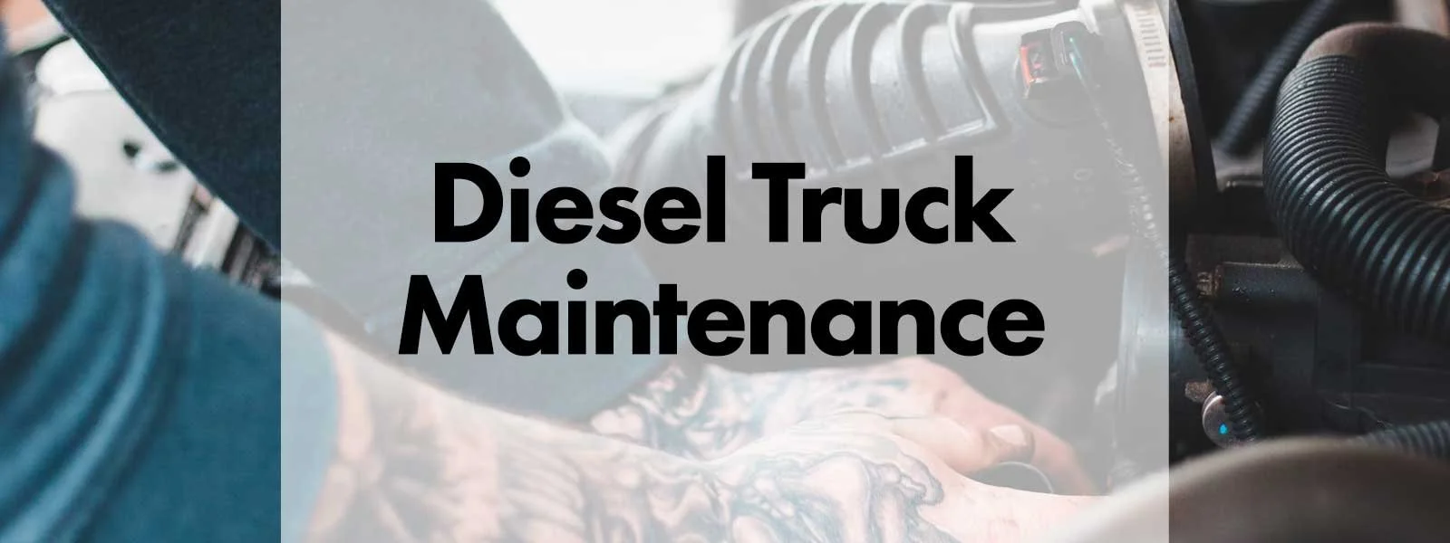 Routine Maintenance