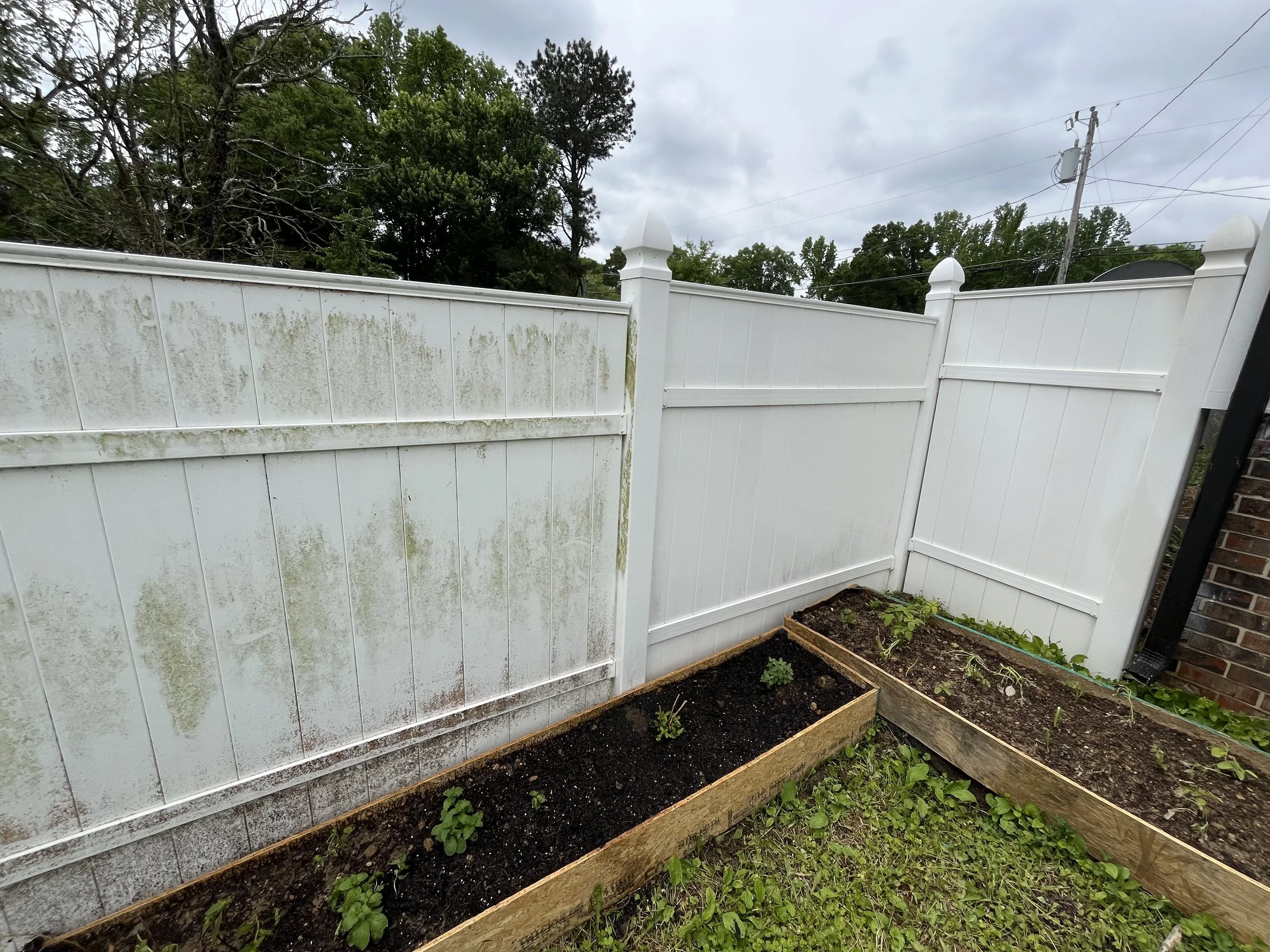 A white outdoor fence with some moss and dirt stains, half pressure washed fence. algae and mildew removed