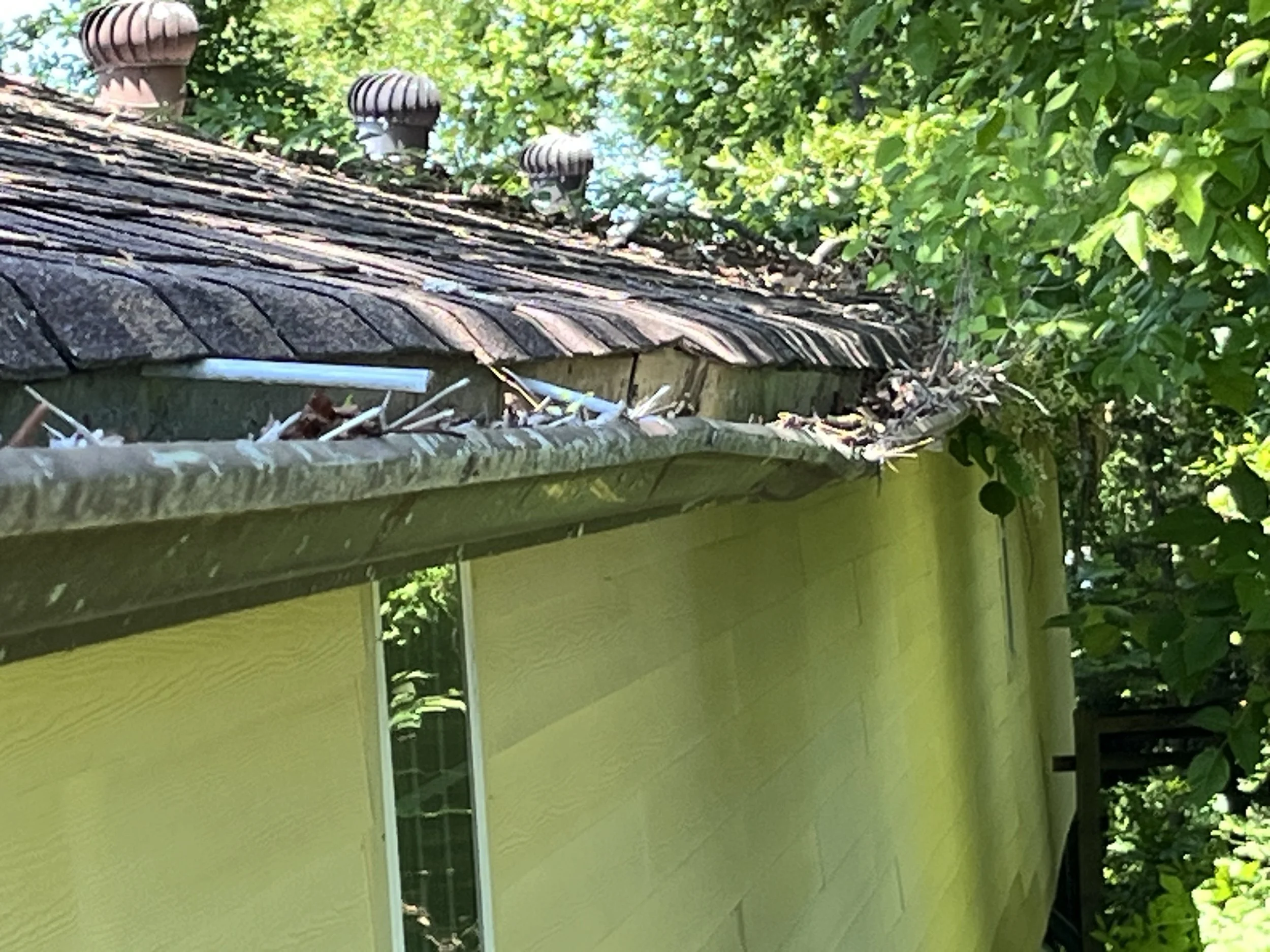 gutters falling off of Church dining hall because gutters need to be cleaned