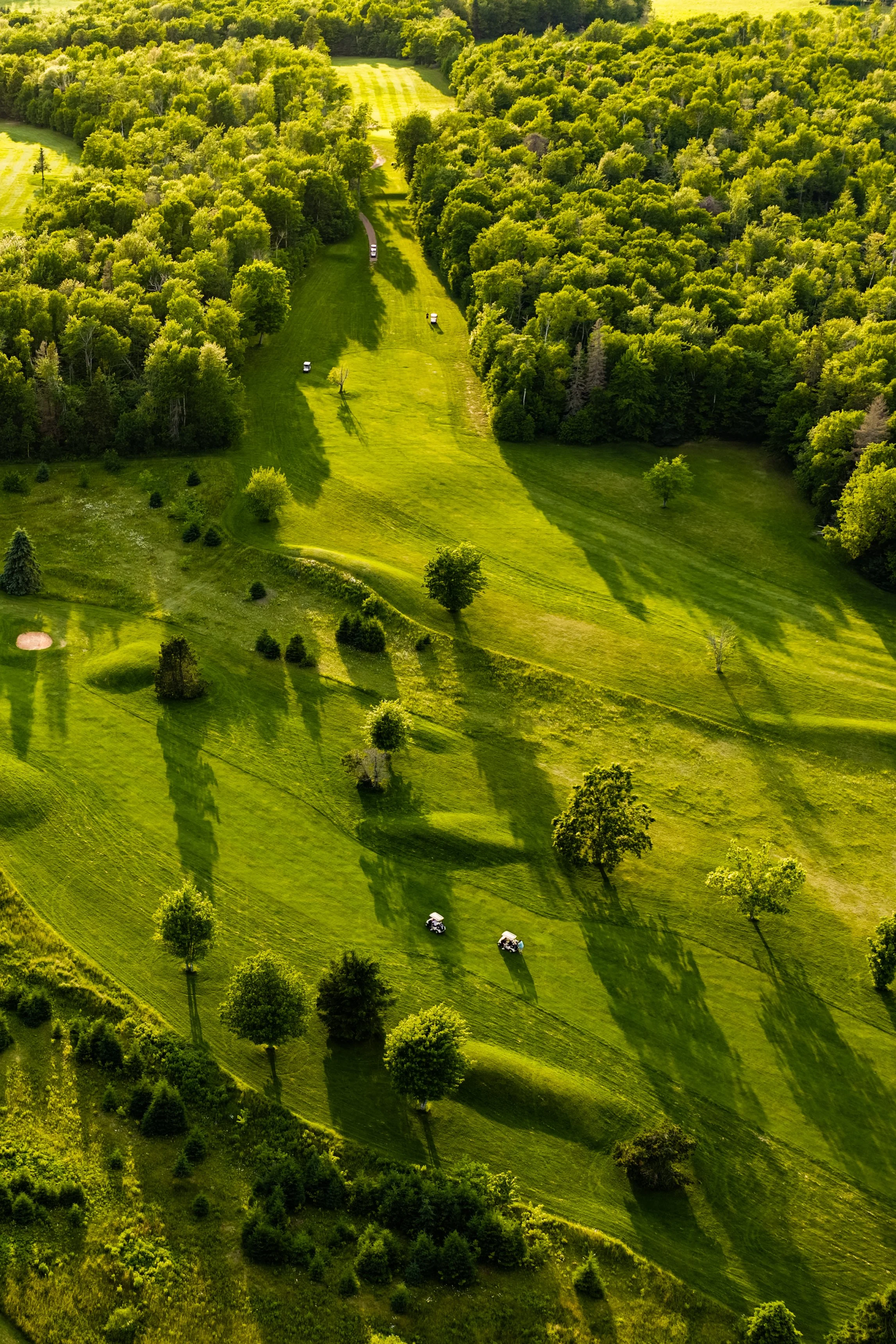 Aerial view of a lush green golf course surrounded by dense trees with two golf carts on the green, casting long shadows, during daytime.