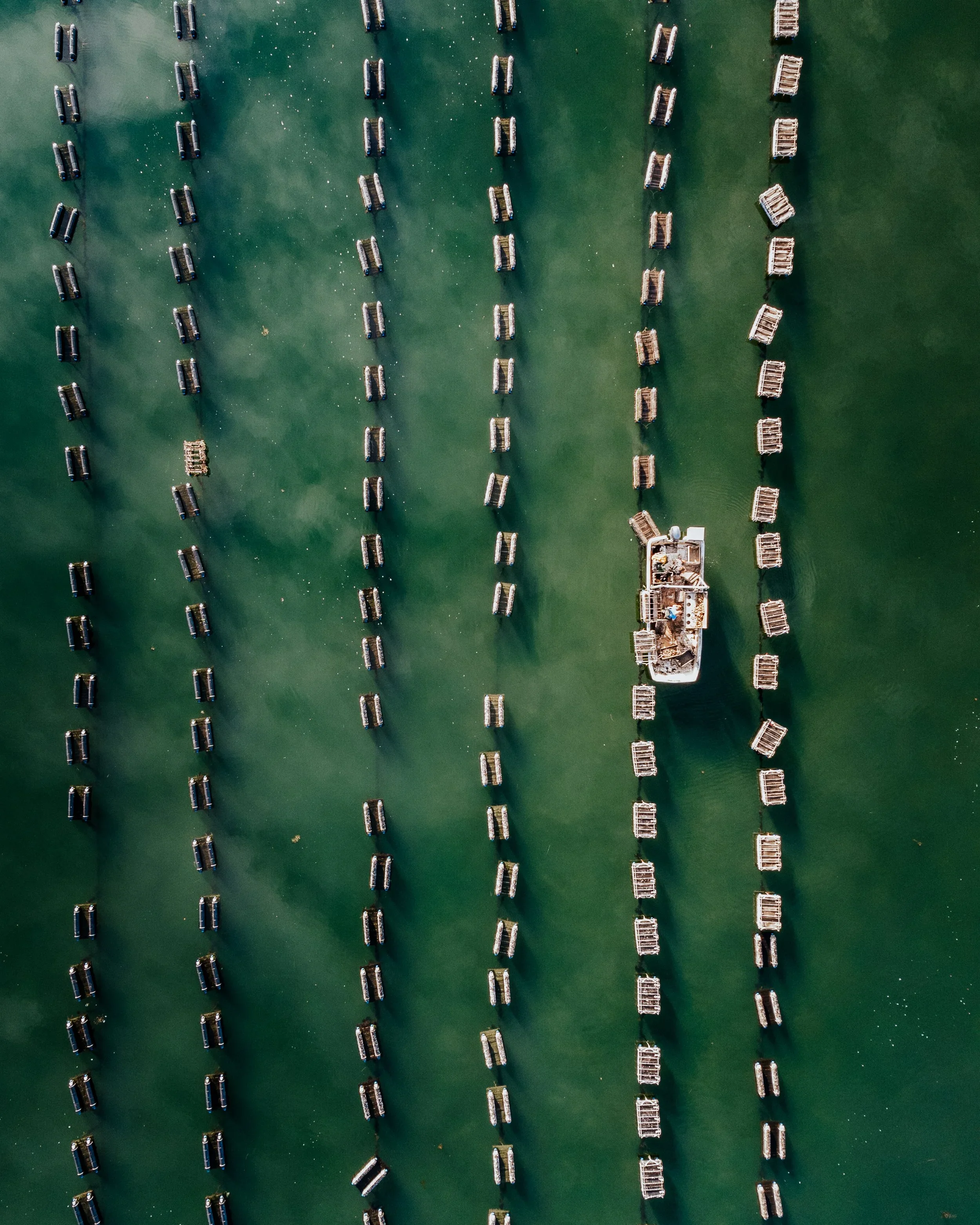 An aerial view of a marina with numerous rowing boats lined up in rows on green water, with a larger boat at the bottom right.