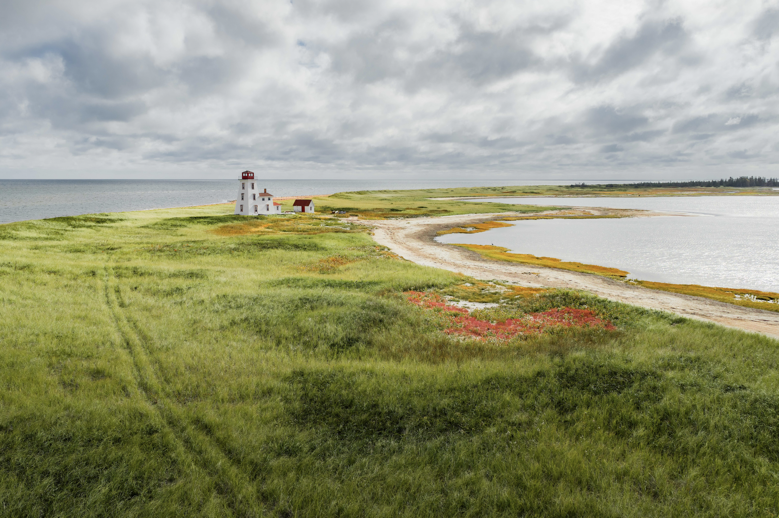 A lighthouse on a grassy coastline with a dirt path, near a body of water and an overcast sky.