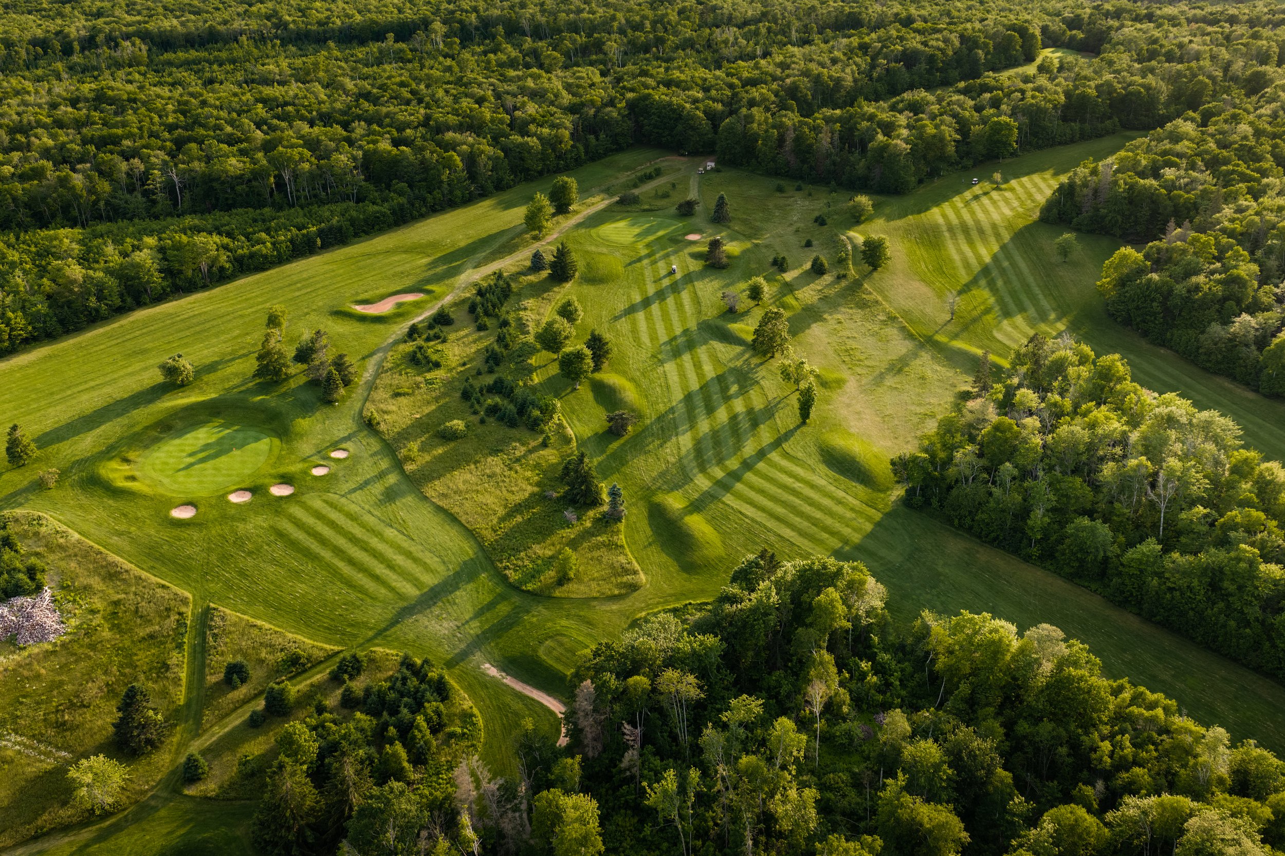 Aerial view of a lush, green golf course surrounded by a dense forest with trees, open grassy areas, sand bunkers, and a few golf carts.