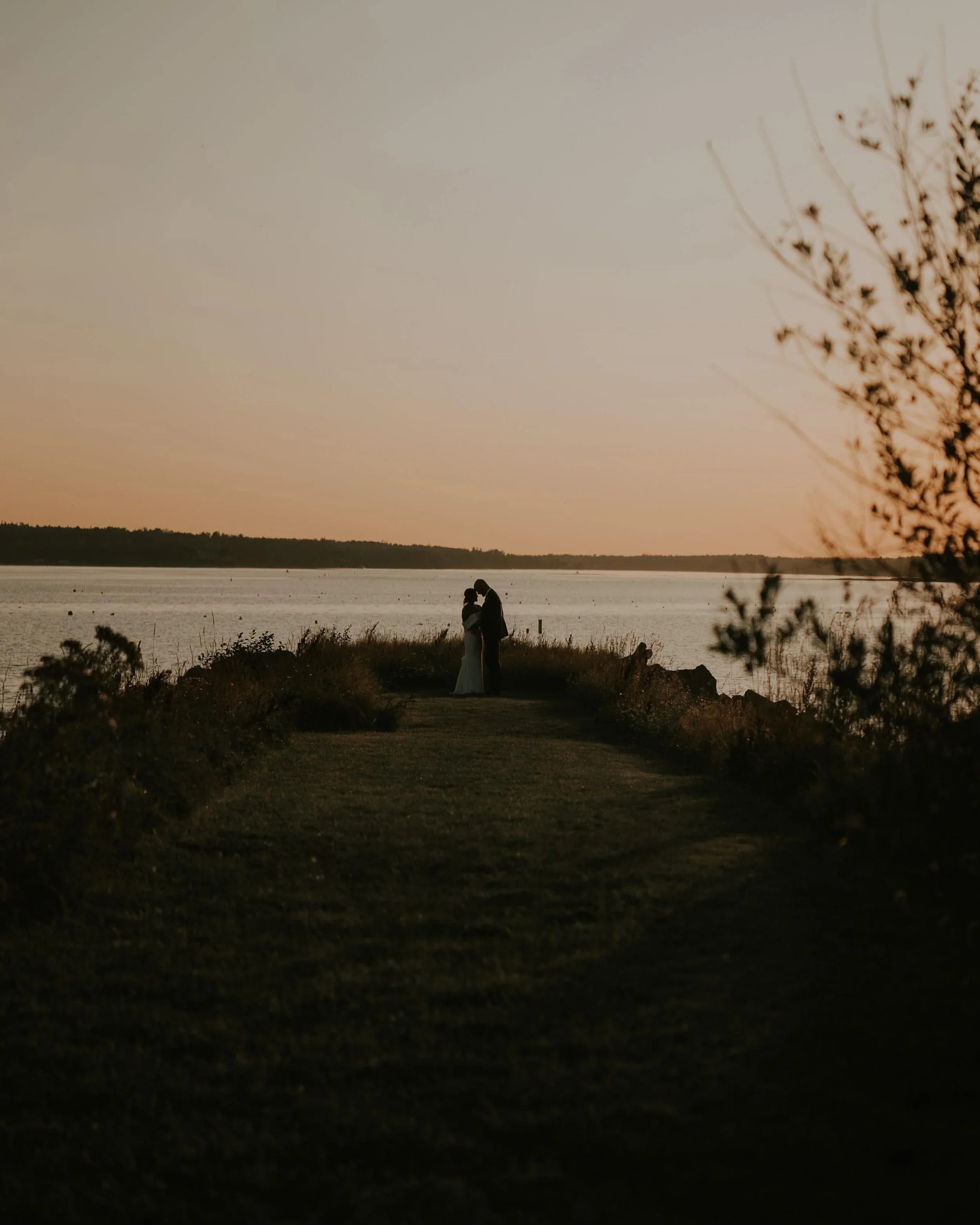 Silhouettes of a couple holding hands near a water body at sunset with trees in the background.