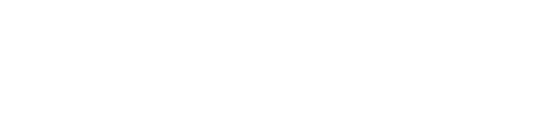 tampa branding studio | web design, marketing, branding