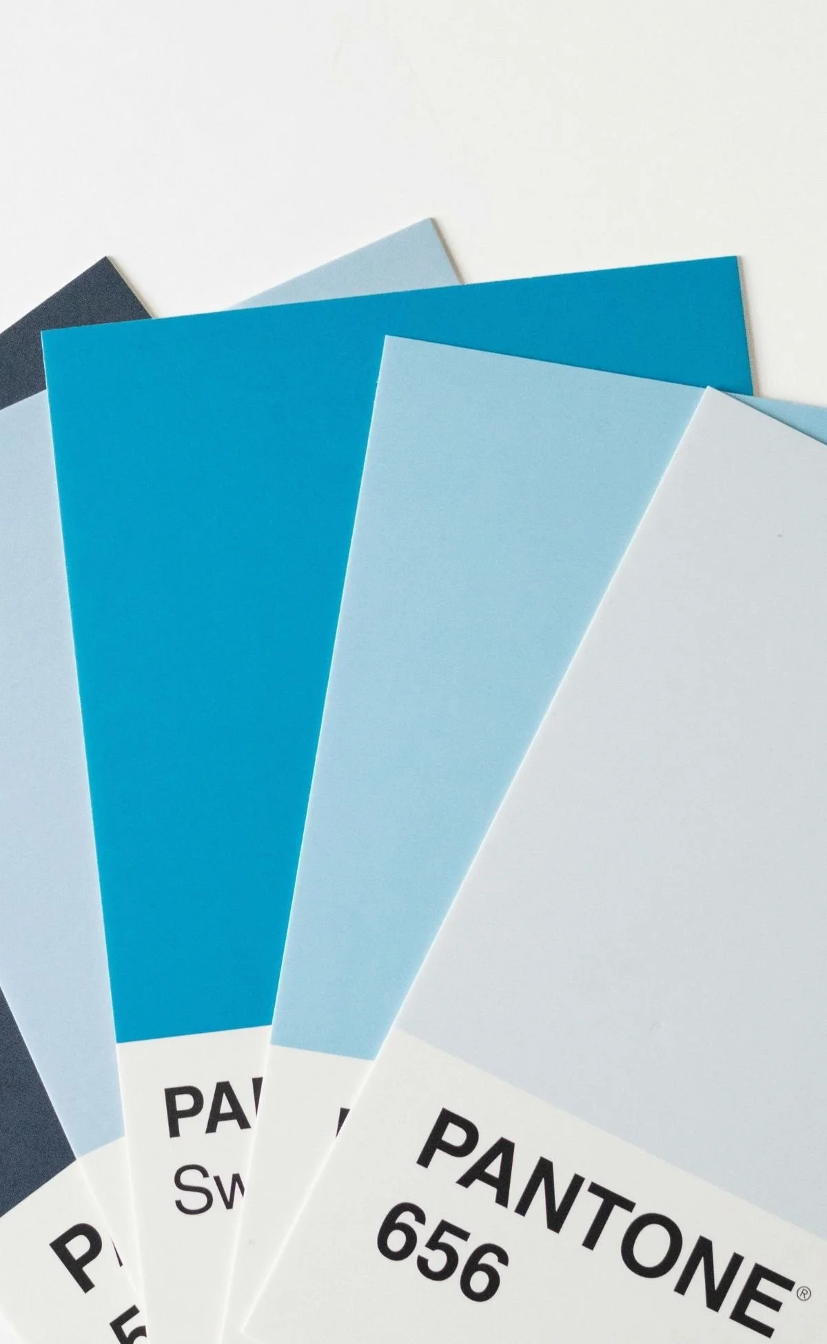 tampa branding studio