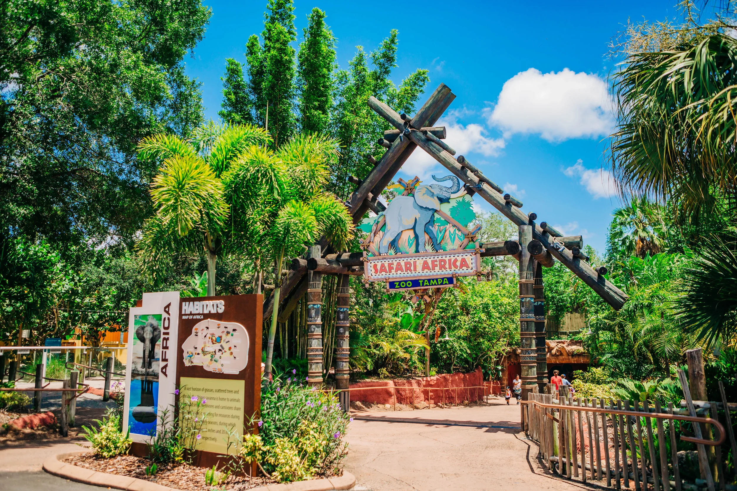 How ZooTampa Became One of Tampa Bay's Biggest Economic Assets