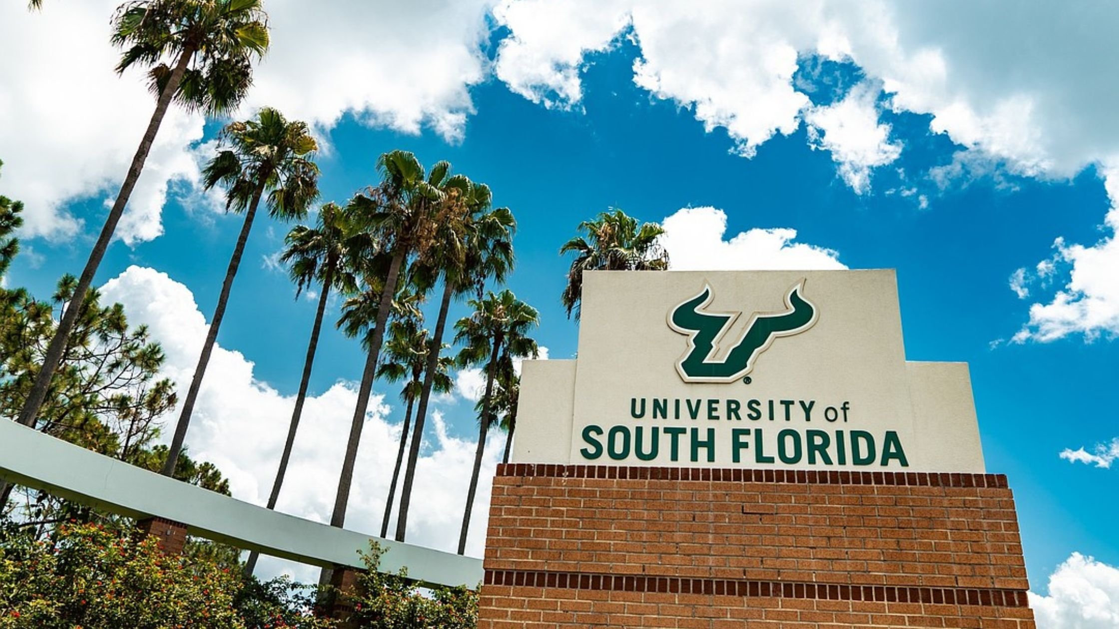 As USF Embraces AI, Local Business Marketing Is Changing Too