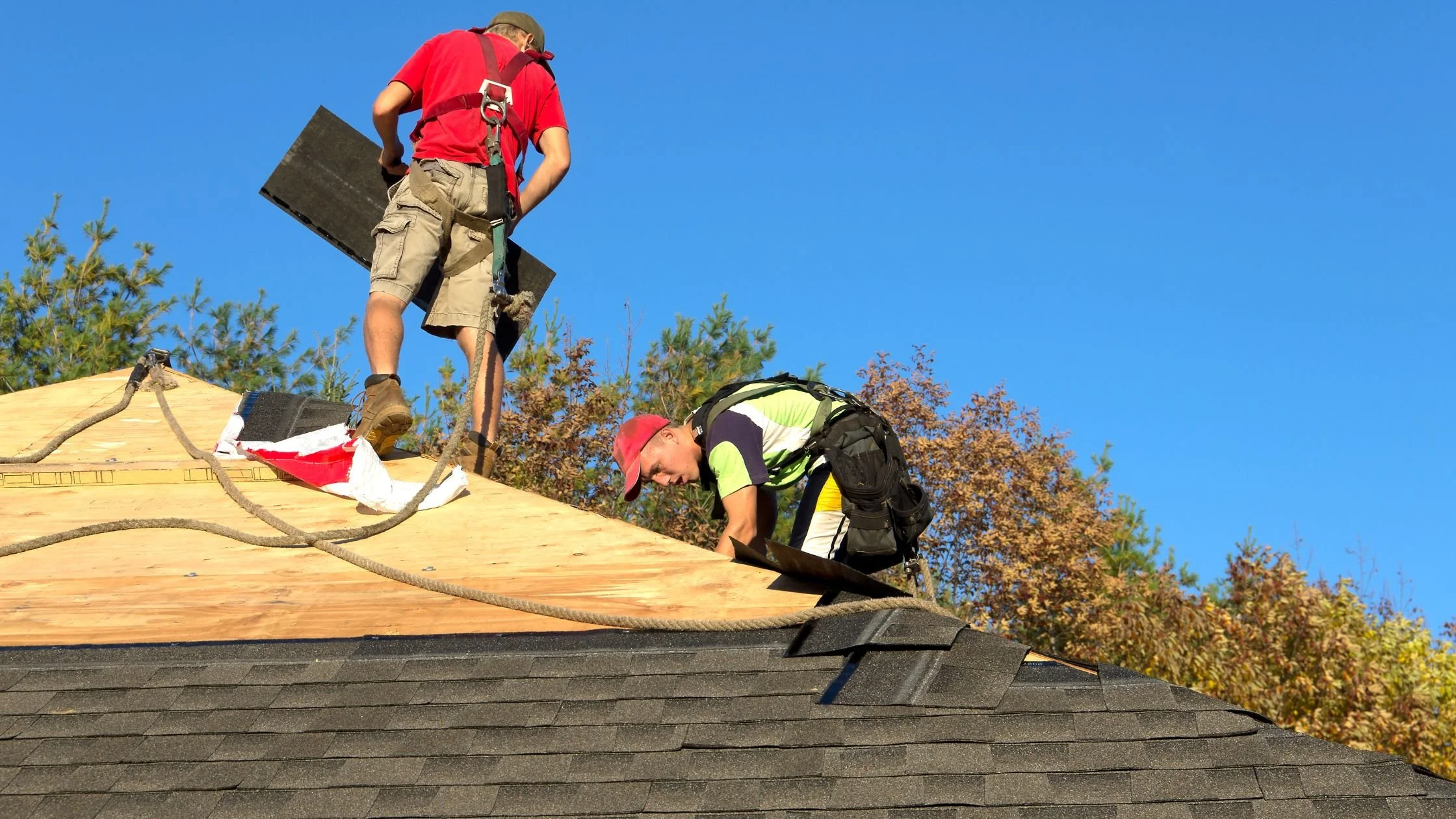 Why Roofing Companies in Tampa Bay Need More Than Word-of-Mouth Referrals