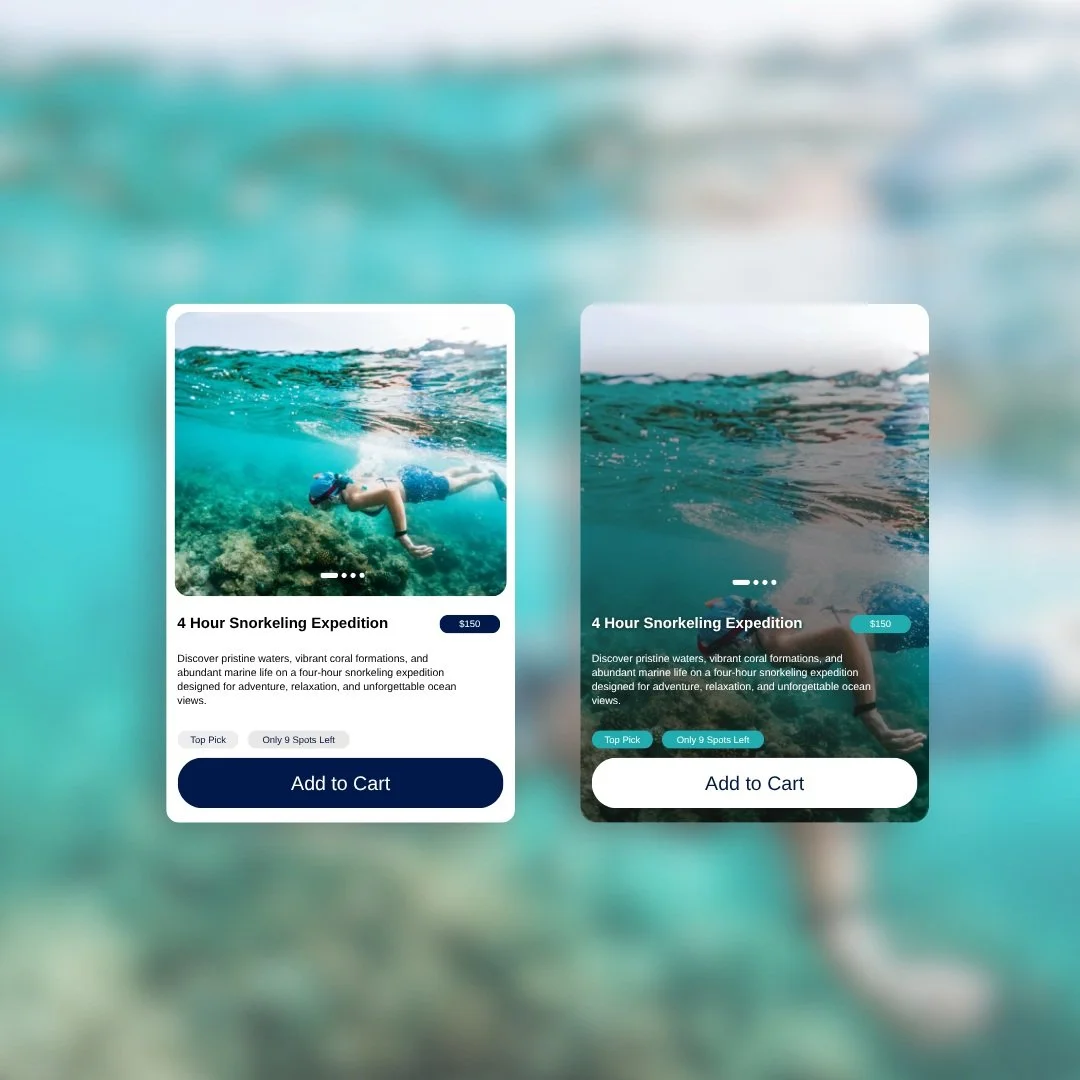 For this concept, we designed the mobile experience around what someone would need when they&rsquo;re interested and ready to book. They can quickly see what the excursion includes, check the details and add it to their cart without fighting their wa
