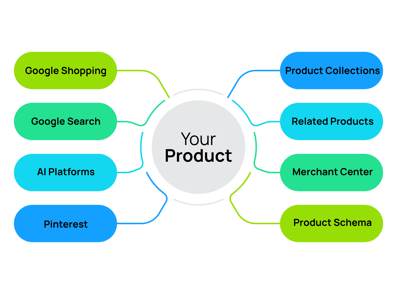 online store website design in Tampa, FL