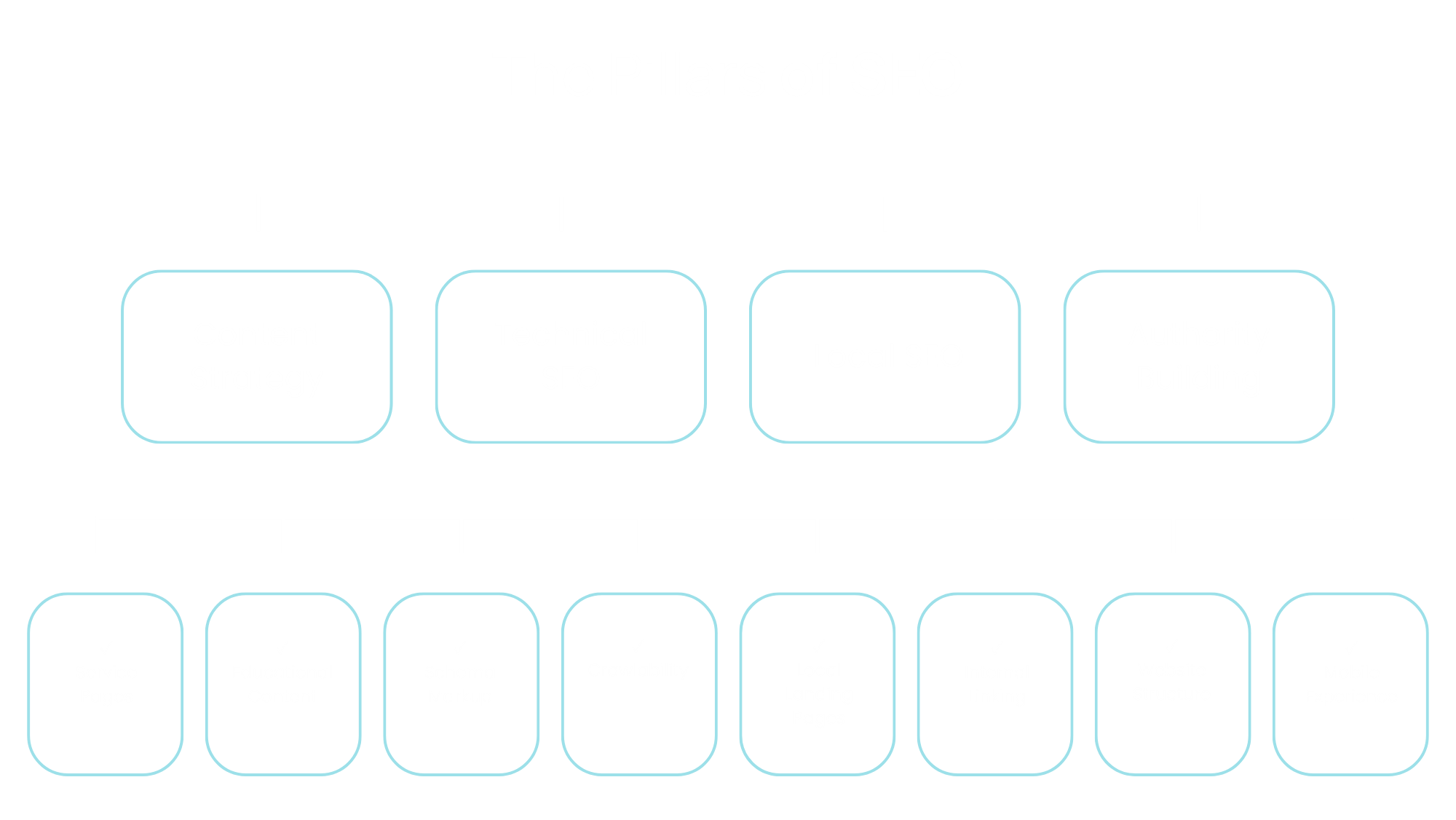 SEO expert in tampa