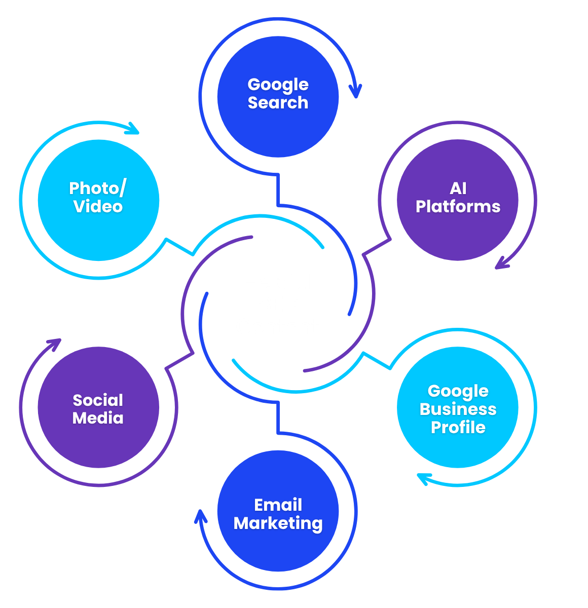 search visibility | SEO & AEO in Tampa FL