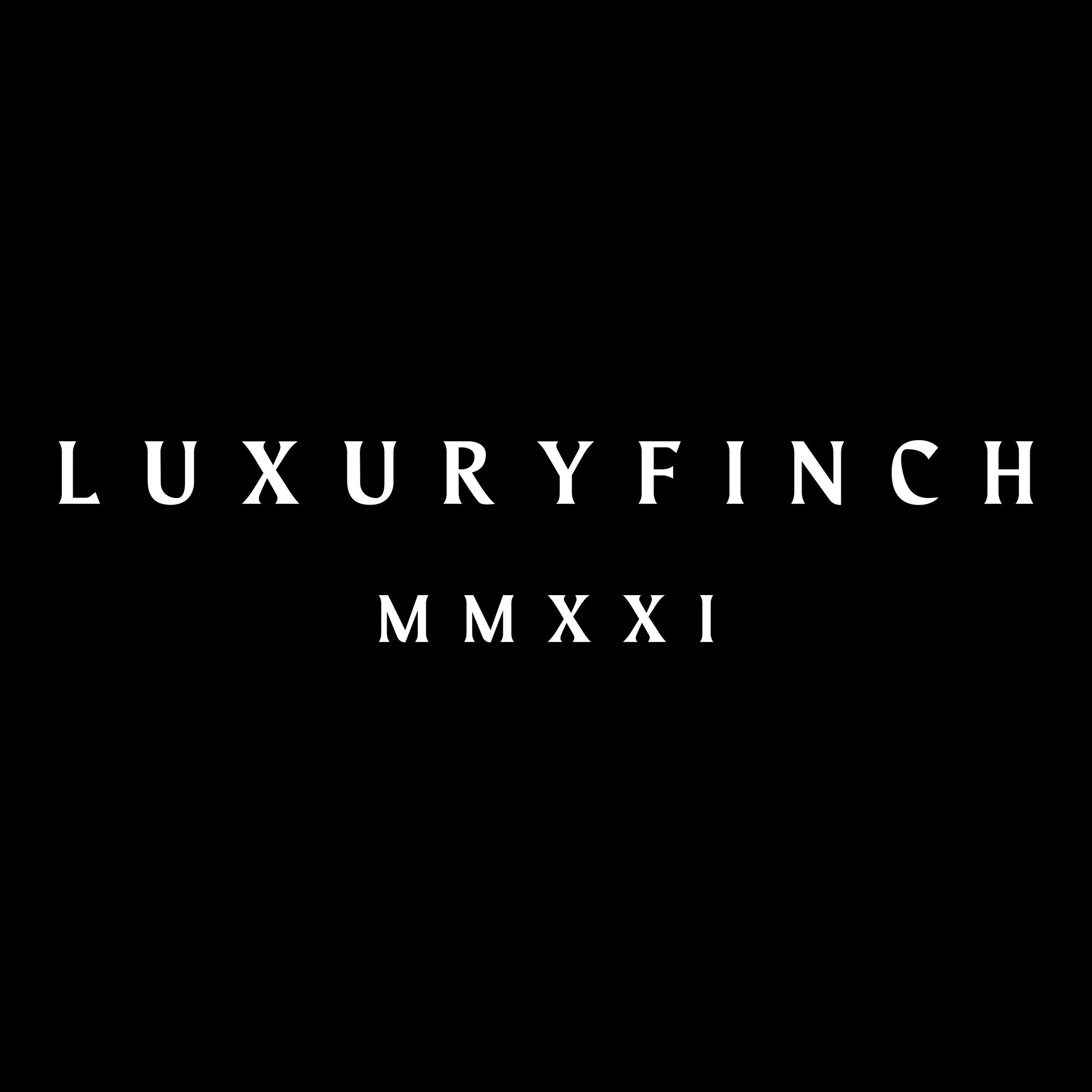 brand designer tampa bay