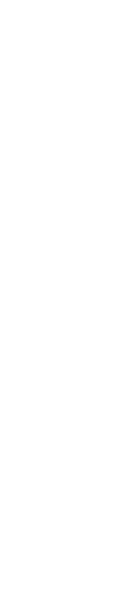 photographer in tampa
