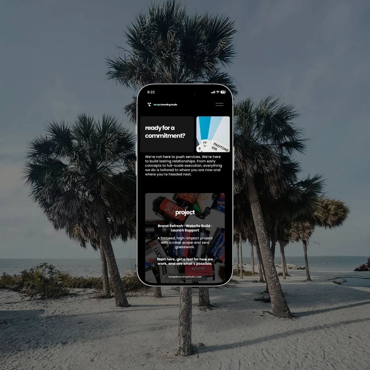 web design in tampa