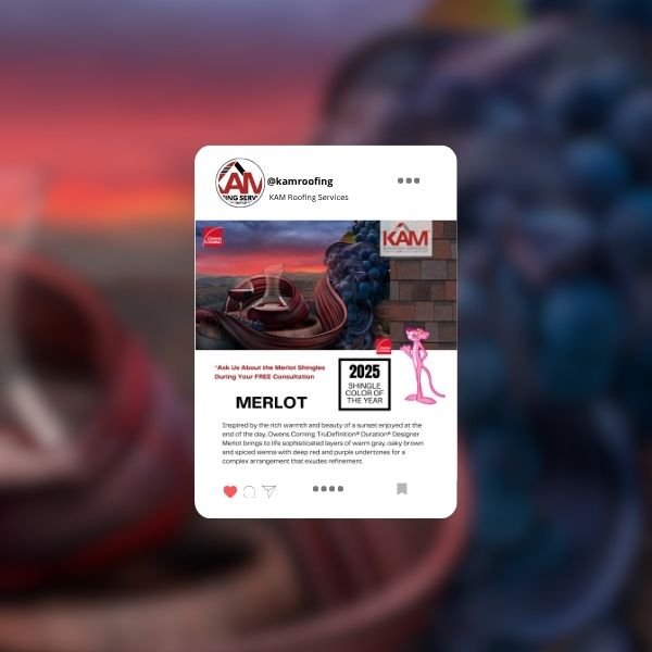 social media graphic designer tampa