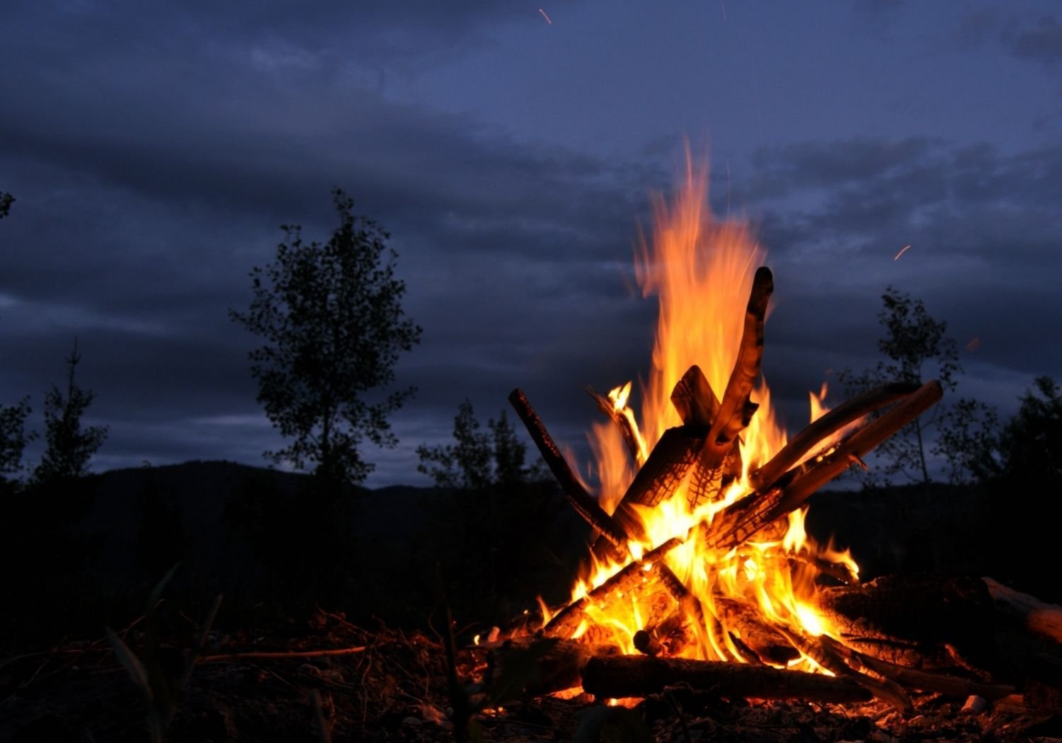 RTK Firewood Case Study