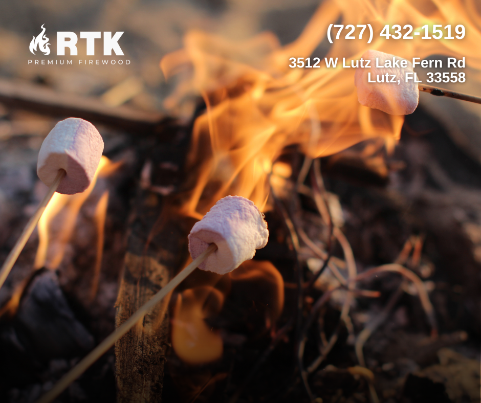 Marshmallows on sticks being toasted over an open fire, with flames and charred wood in the background.