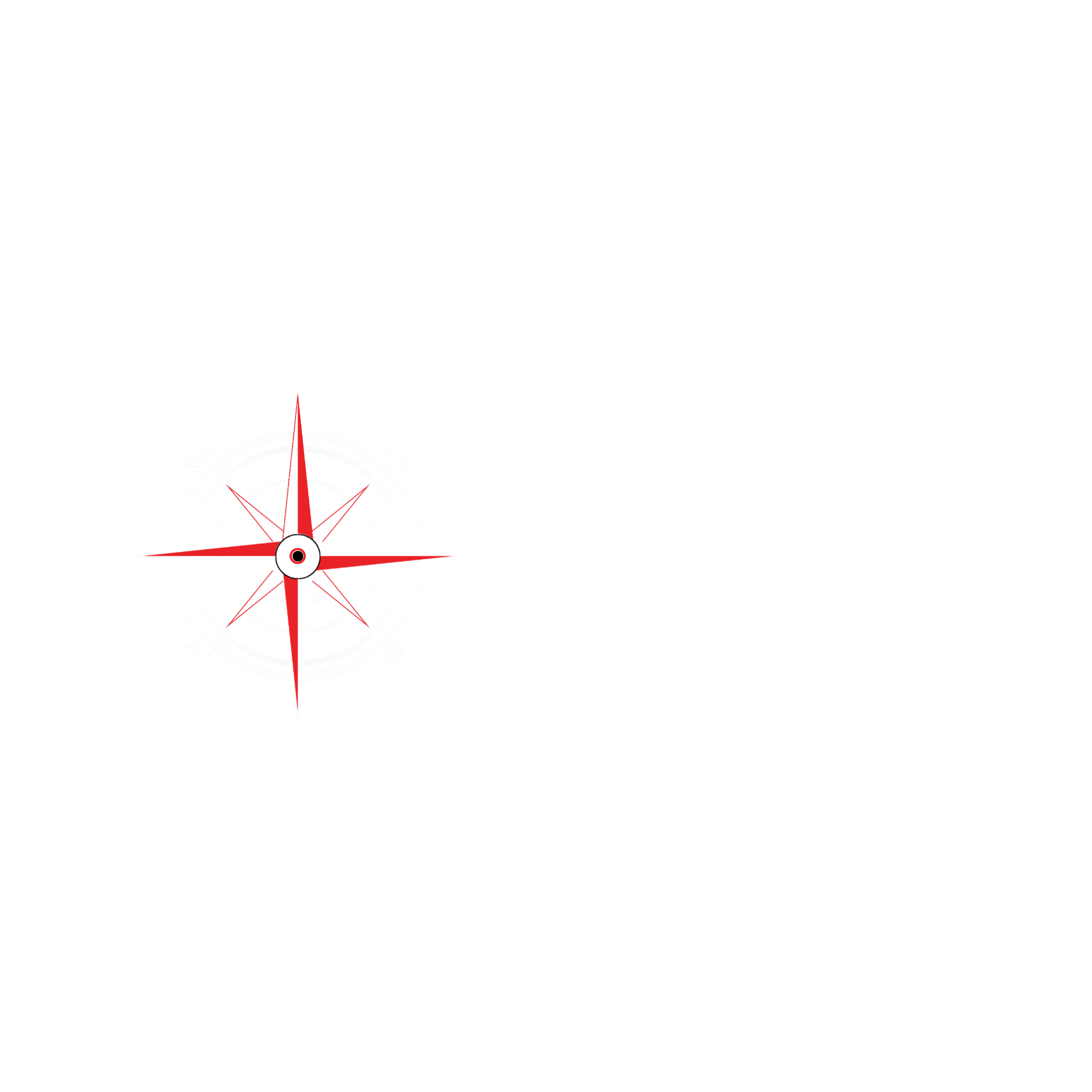 Elite Marine Case Study- tampa branding