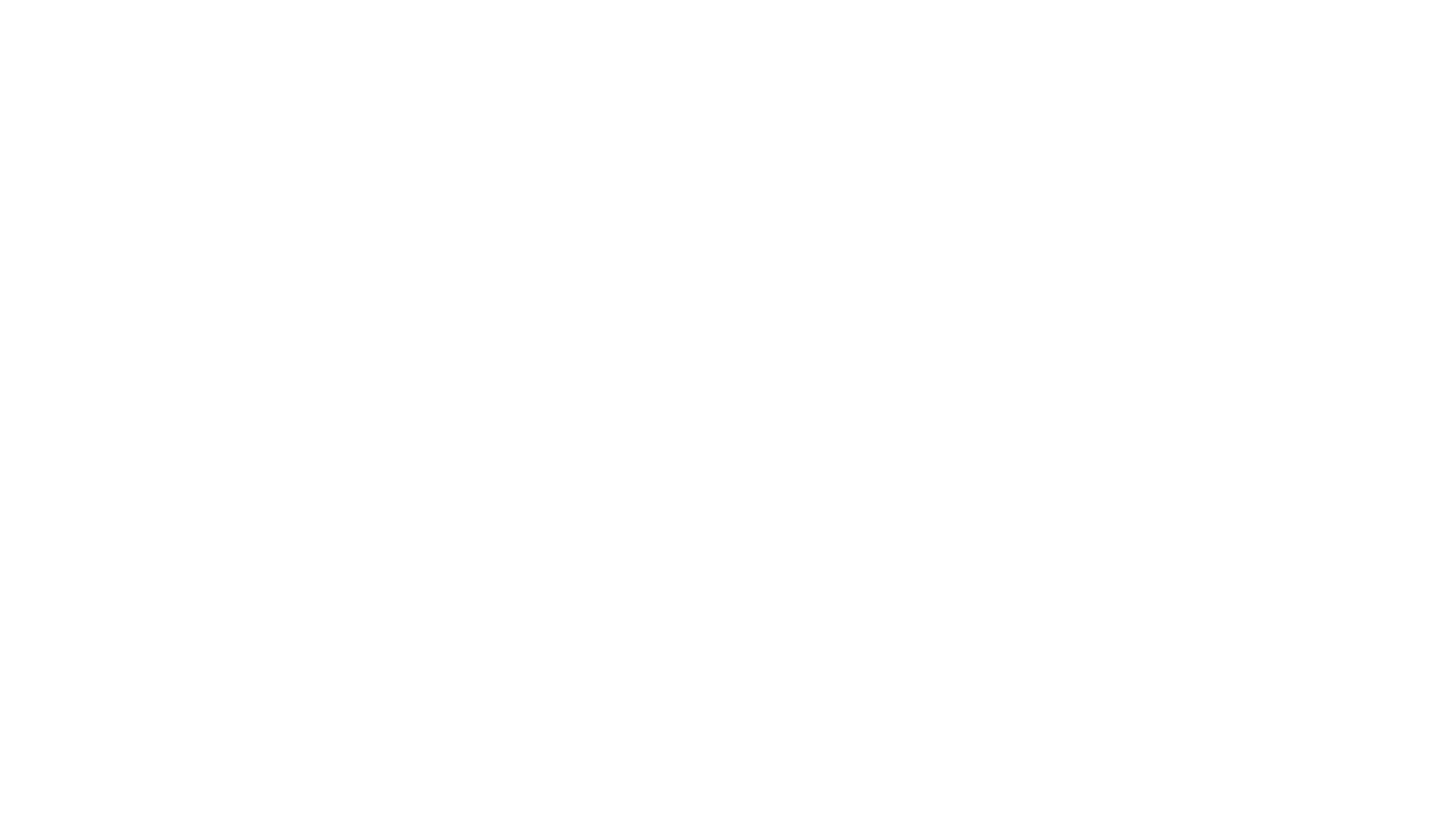tampa branding studio portfolio