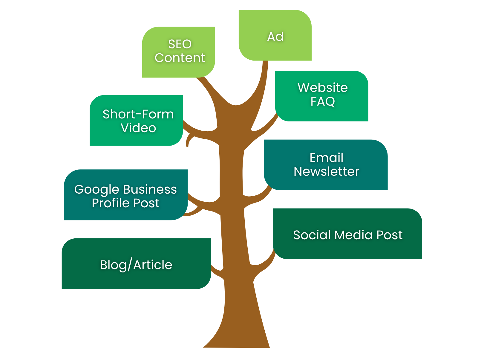 content creation services in tampa