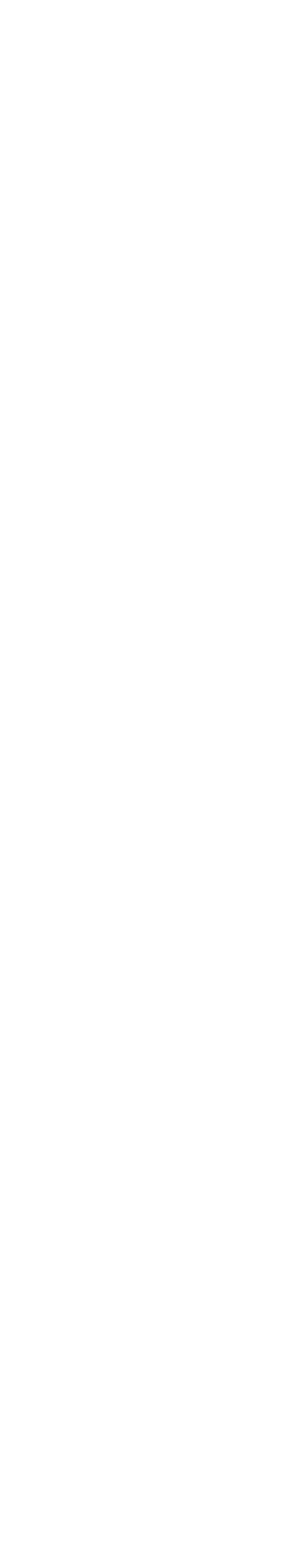 photographer in tampa