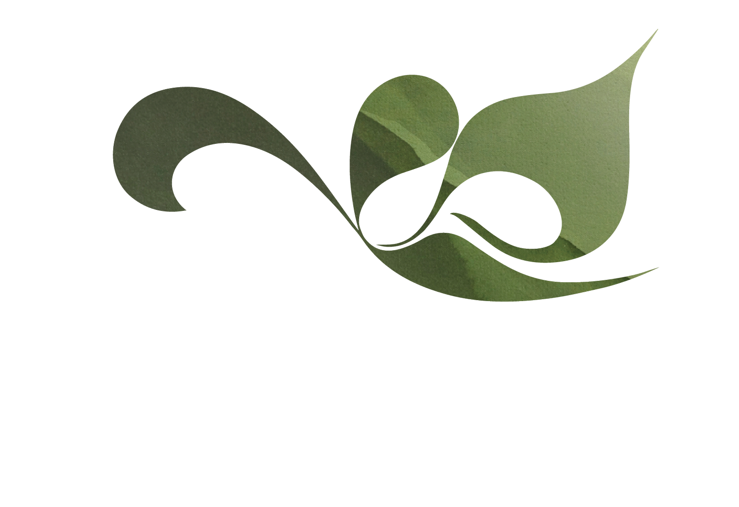 The Rooted Home Group