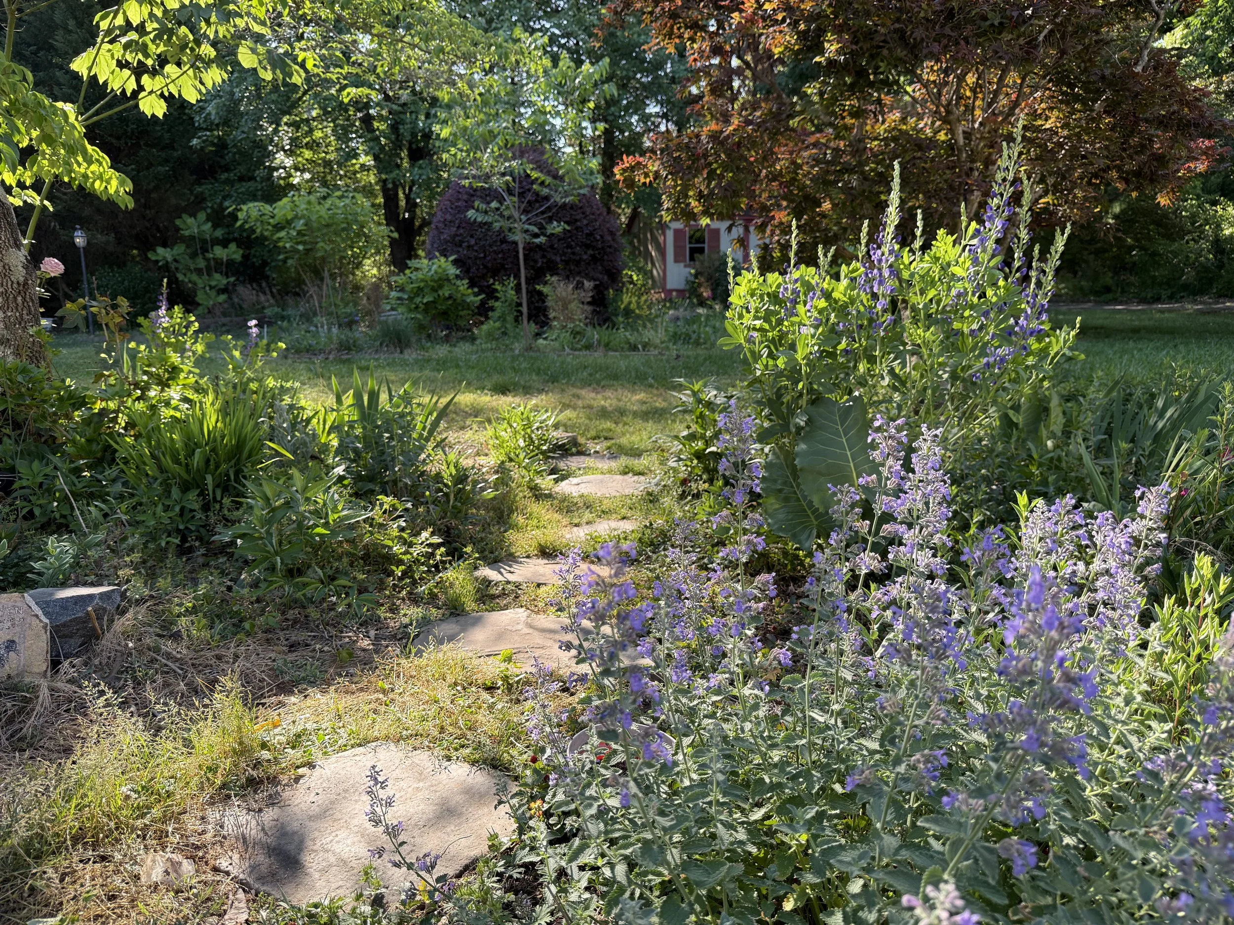 A garden with a stone pathway, green grass, purple flowering plants, trees, and a house with red shutters in the background, under a partly sunny sky.