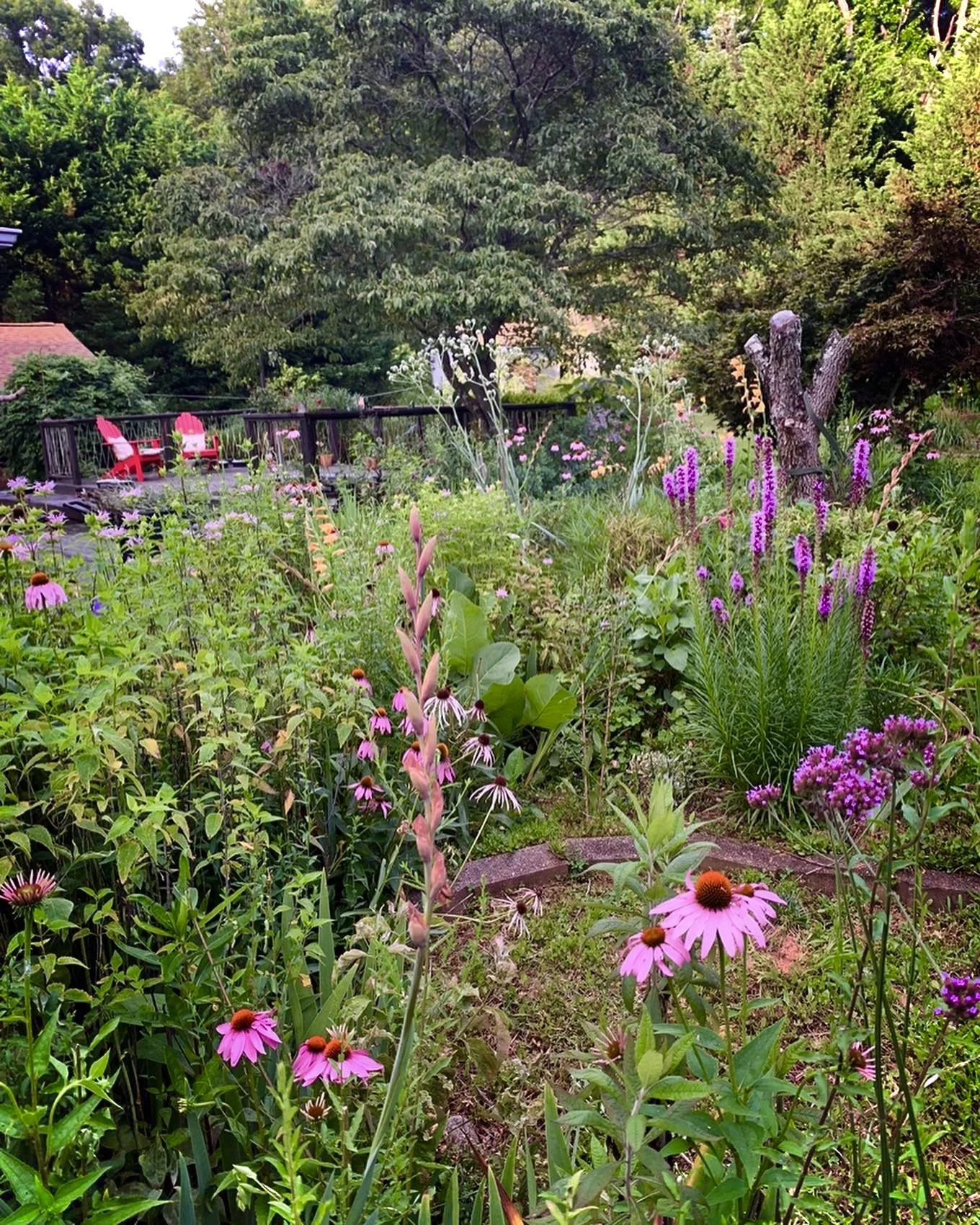 A lush garden with various colorful flowers and green plants, a wooden deck with red Adirondack chairs, and tall trees in the background.