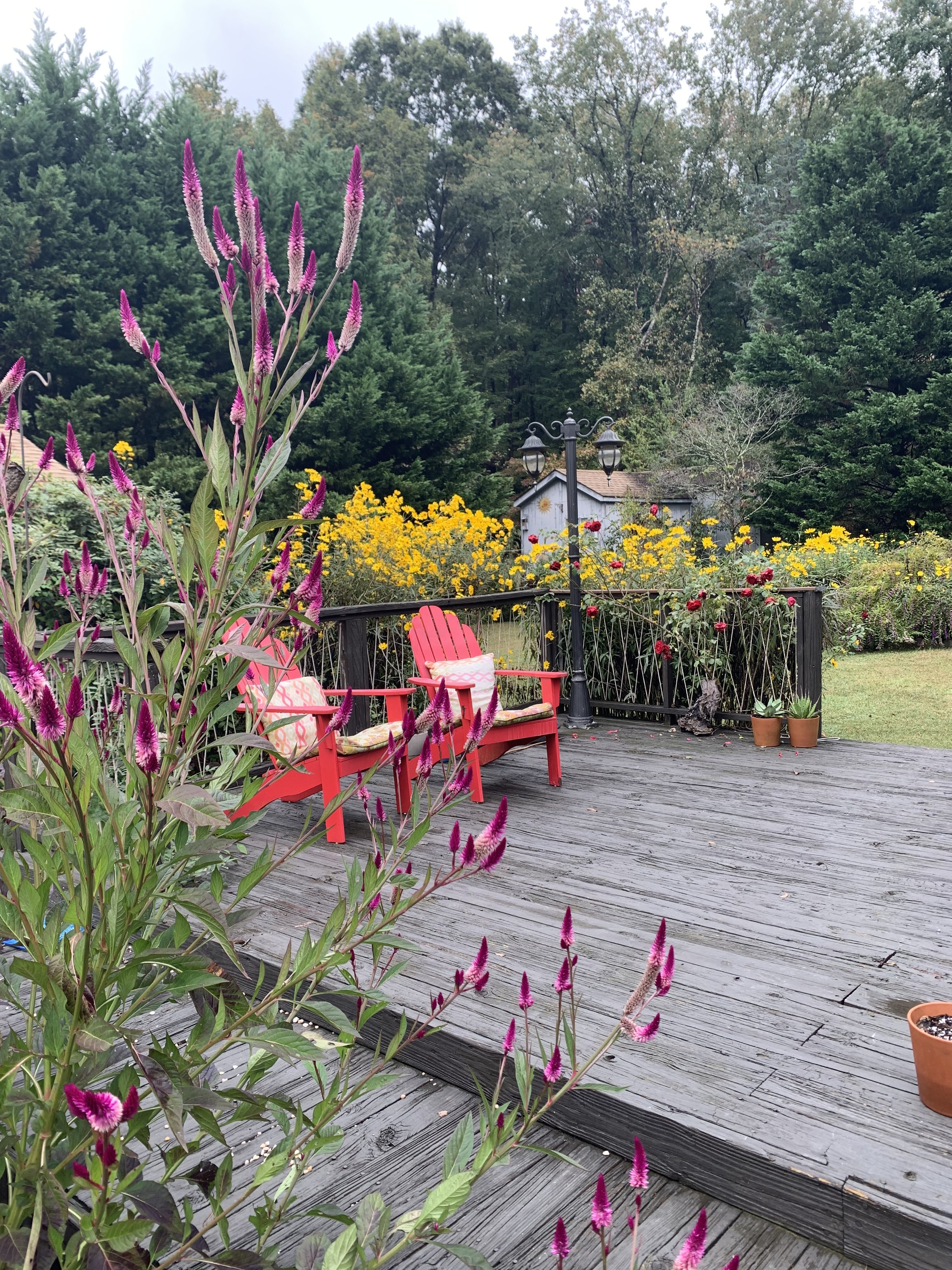A backyard deck with red chairs, a black fence, colorful flowers including pink, yellow, and red, a white shed, tall trees in the background, and a street lamp post.