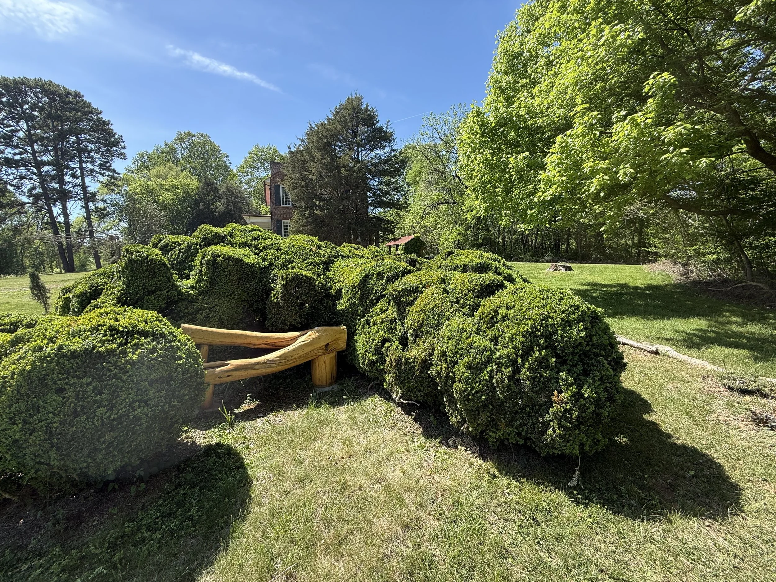 The Hedge Garden at Cedar Grove