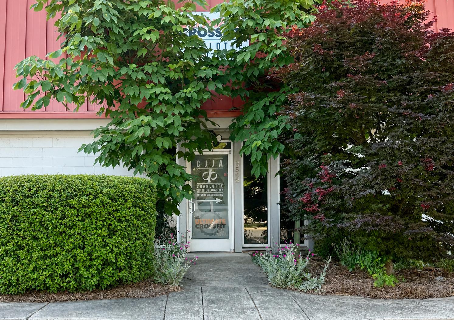 Green and red bushes surround the entrance to Charlotte Jiu-Jitsu Academy, located at 2508. The door has a sign with the academy's name and logo.