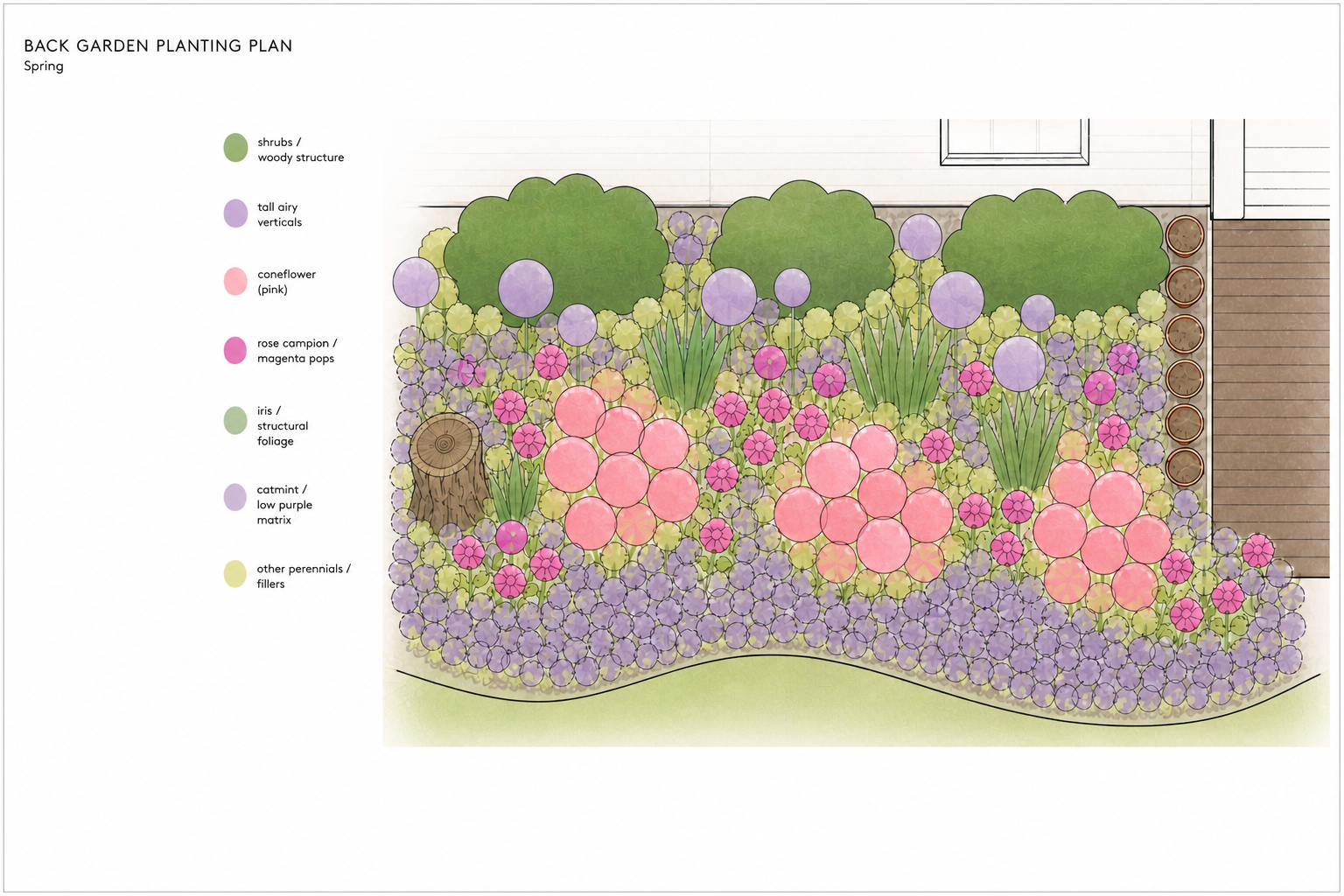 Landscape design plan for a backyard garden with various plantings, including shrubs, tall airy vertical plants, pink coneflowers, magenta rose campion, structural foliage, low purple catmint, and other perennials, bordered by a wooden deck and grass