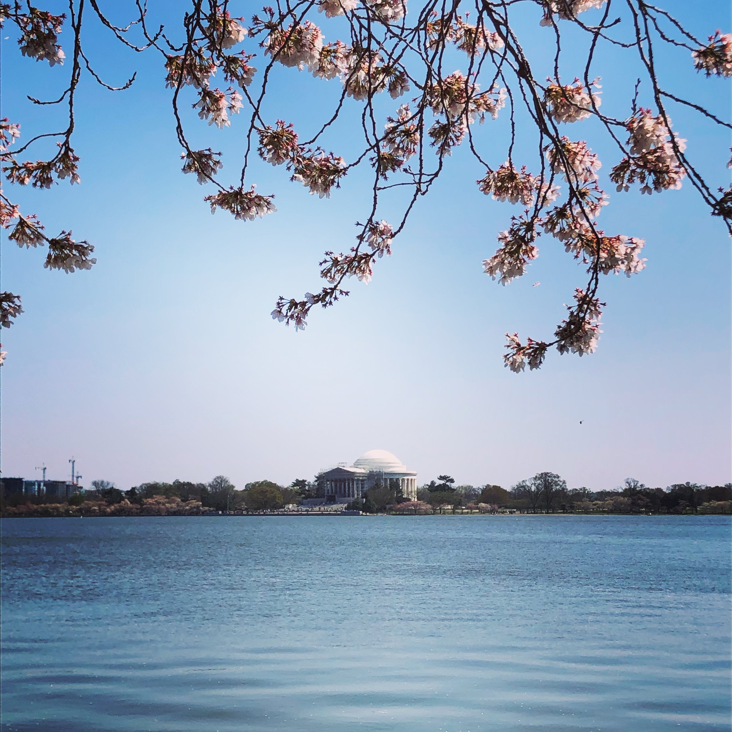 Clear blue sky above a calm body of water with the Lincoln Memorial visible in the distance, surrounded by trees.