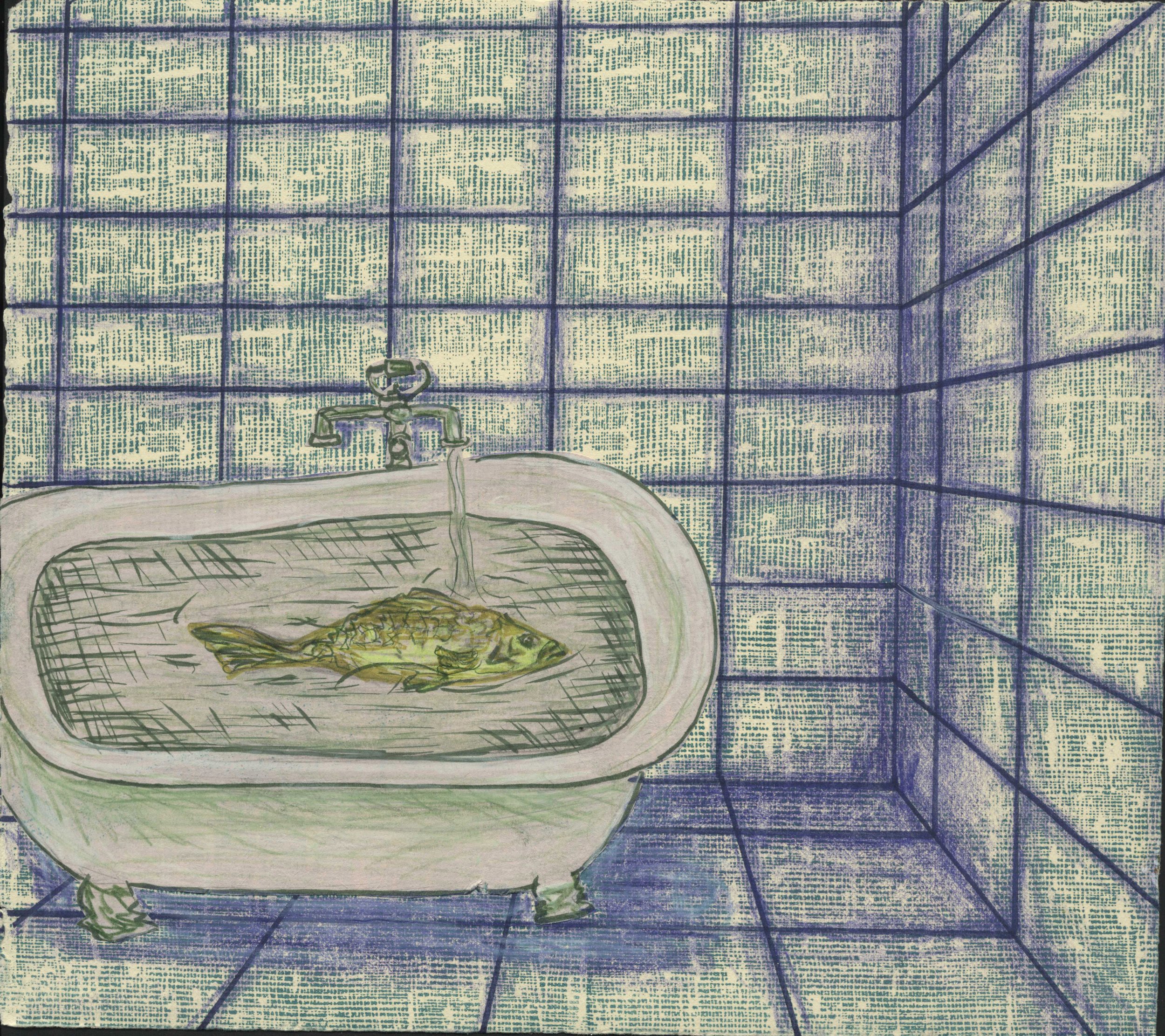 Bathtub Fish Print