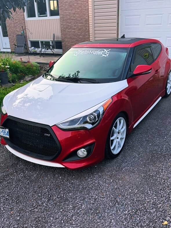 Car Wraps