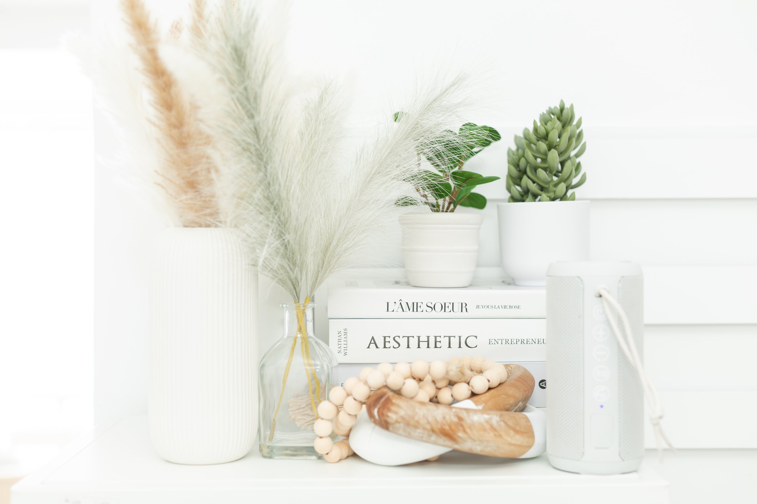 Arrangement of decorative plants and objects including white pampas grass, a small green succulent in a white pot, a white ceramic vase, and a stack of white books with black titles on a white shelf.