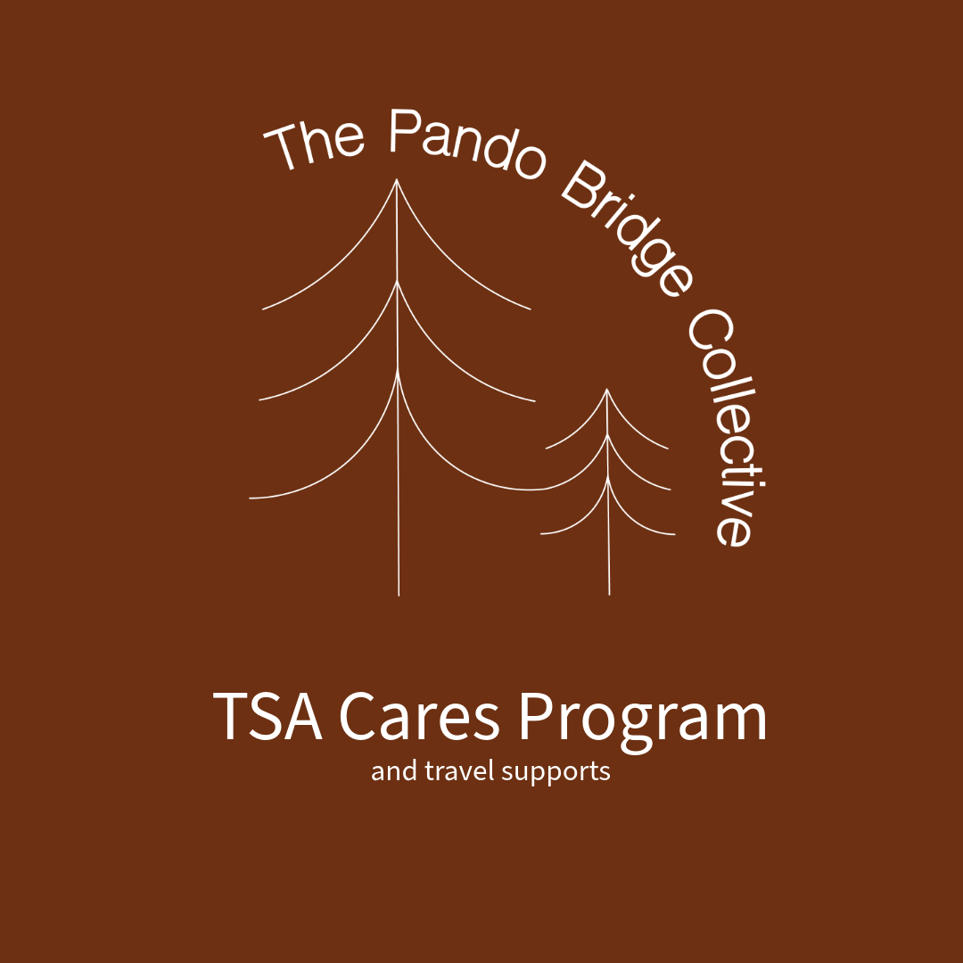 TSA Cares Program.png