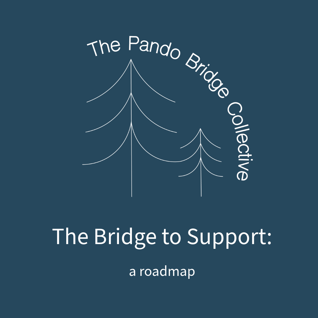 The Path to Support Product image.png