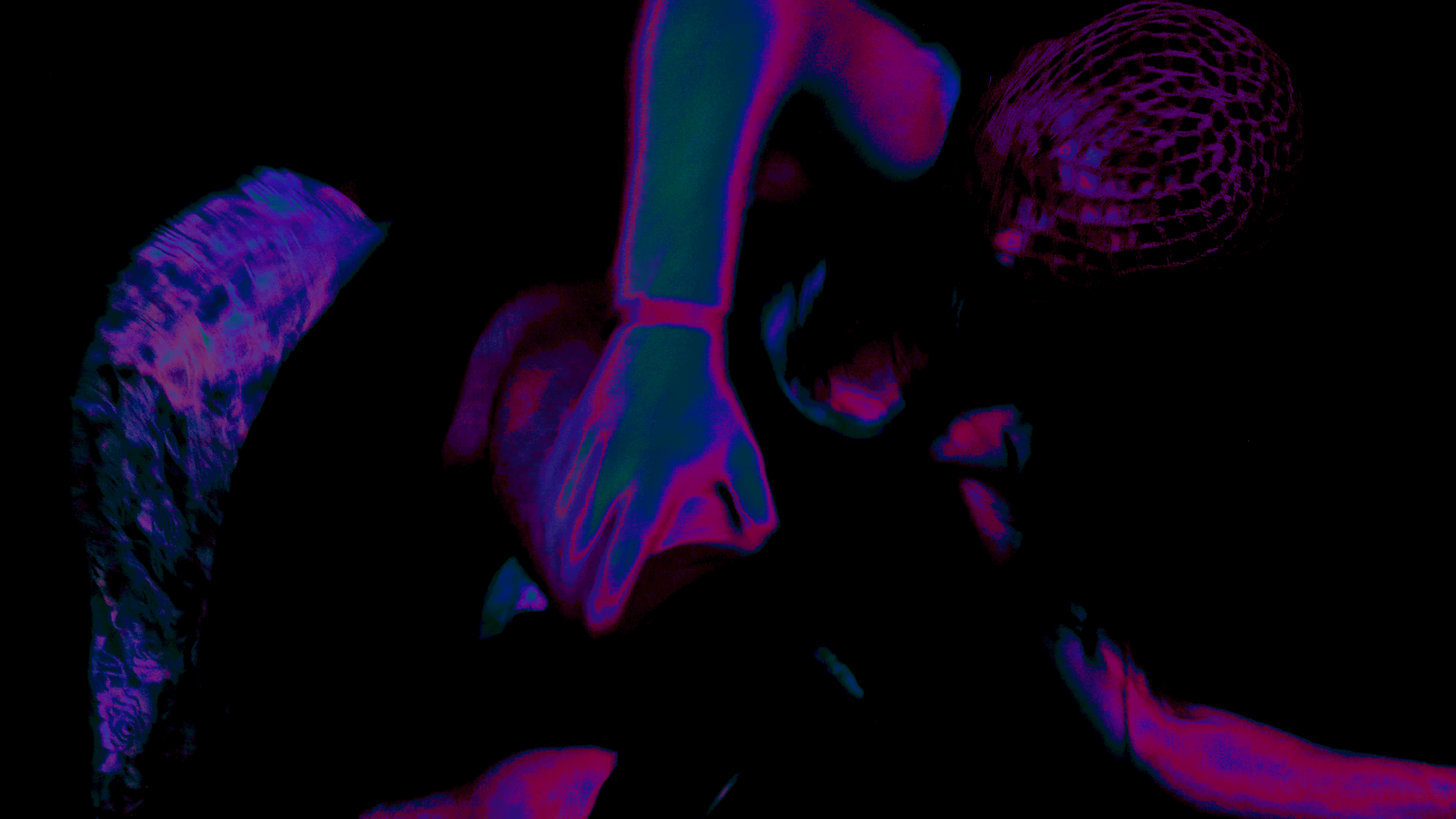 FINAL_Still006.png
