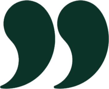 Close-up of a pair of dark green quotation marks.