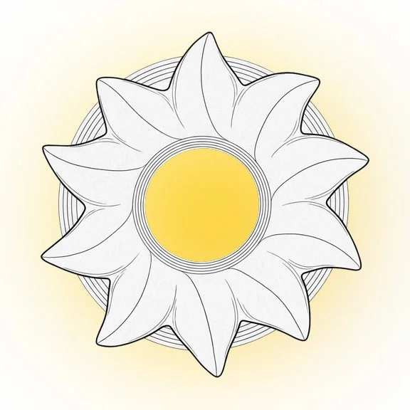 A drawing of a sun with a yellow center and white rays outlined in black, on a light yellow background.  custom framing brookline pictureplacebrookline.com