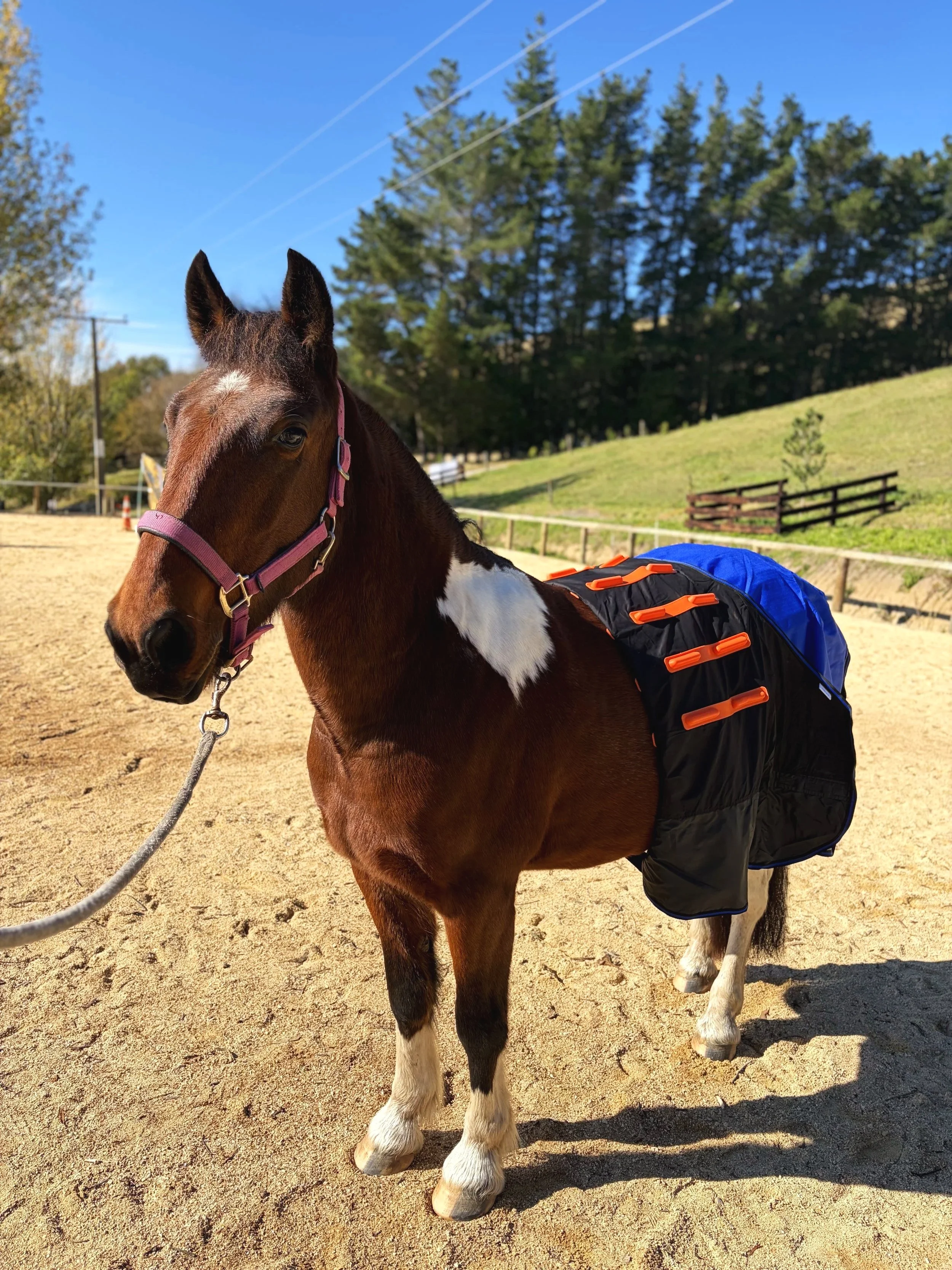 Cool Heat Horse Rug