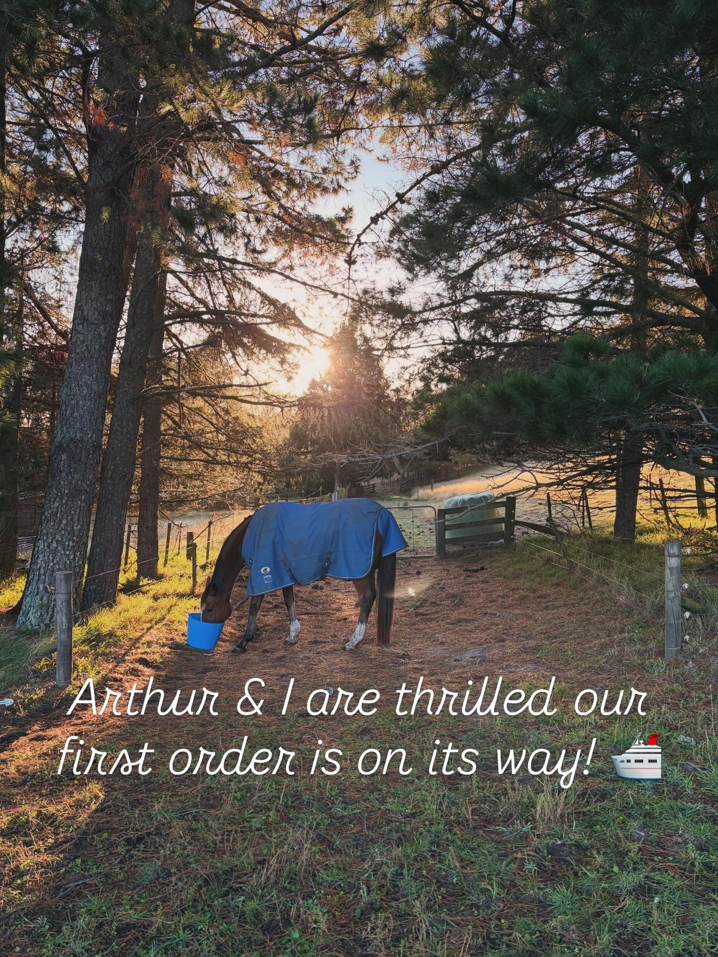 Stoked to be the NZ stockist of our go-to rug 🥳 first order is on its way wahoooo ❤️