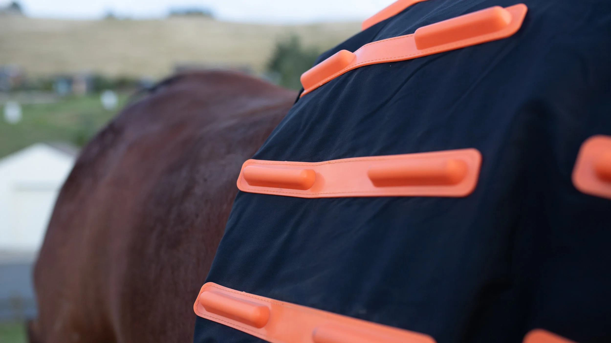 Close-up of the underside of a horses cover laid over a brown horse outdoors with a blurry rural background.