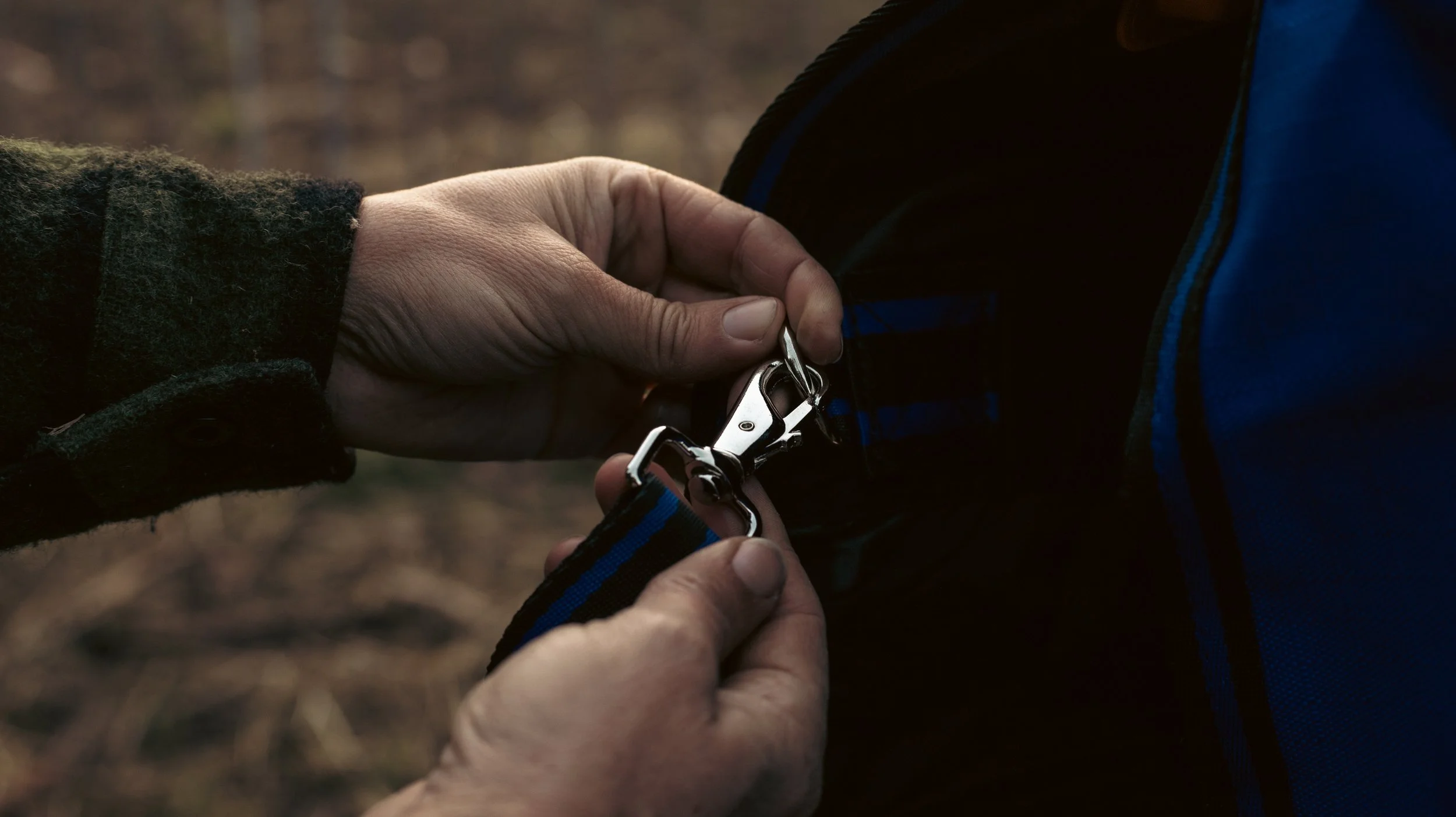 Close-up of a person’s hands attaching clips on a horse cover, with a blurred outdoor background.