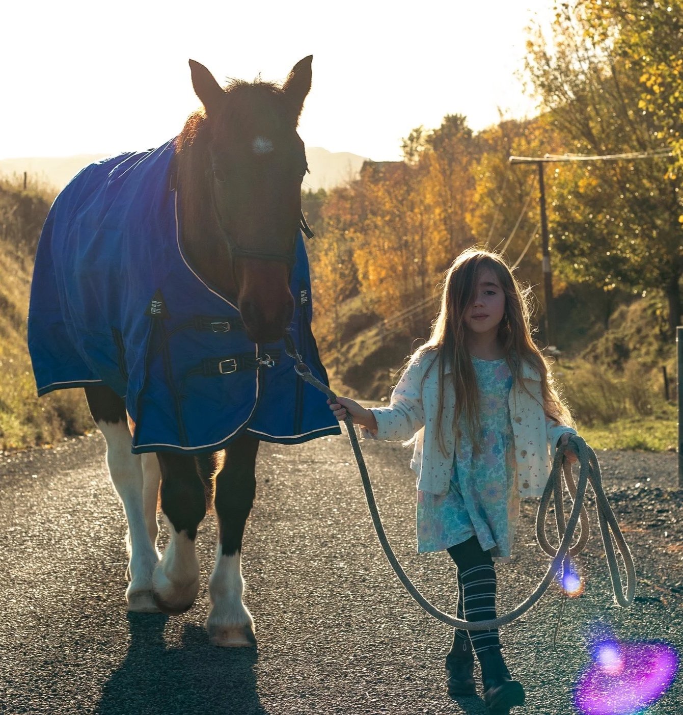 A young girl walking a horse on a rural road during sunset. The girl is holding the horse's lead rope and a bundle of ropes. The horse is wearing a blue blanket and the background features autumn trees and power lines.
