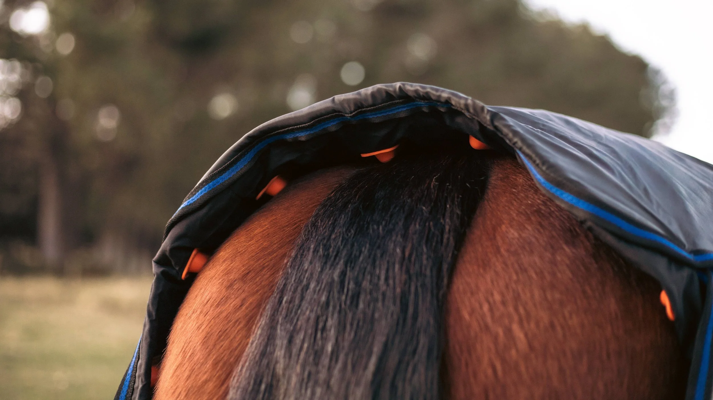 Close-up of a horse's back showing how the horse's rug is slightly lifted off the back allowing for natural coat movement & therefore thermoregulation, outdoors with a blurred background of trees and sky.